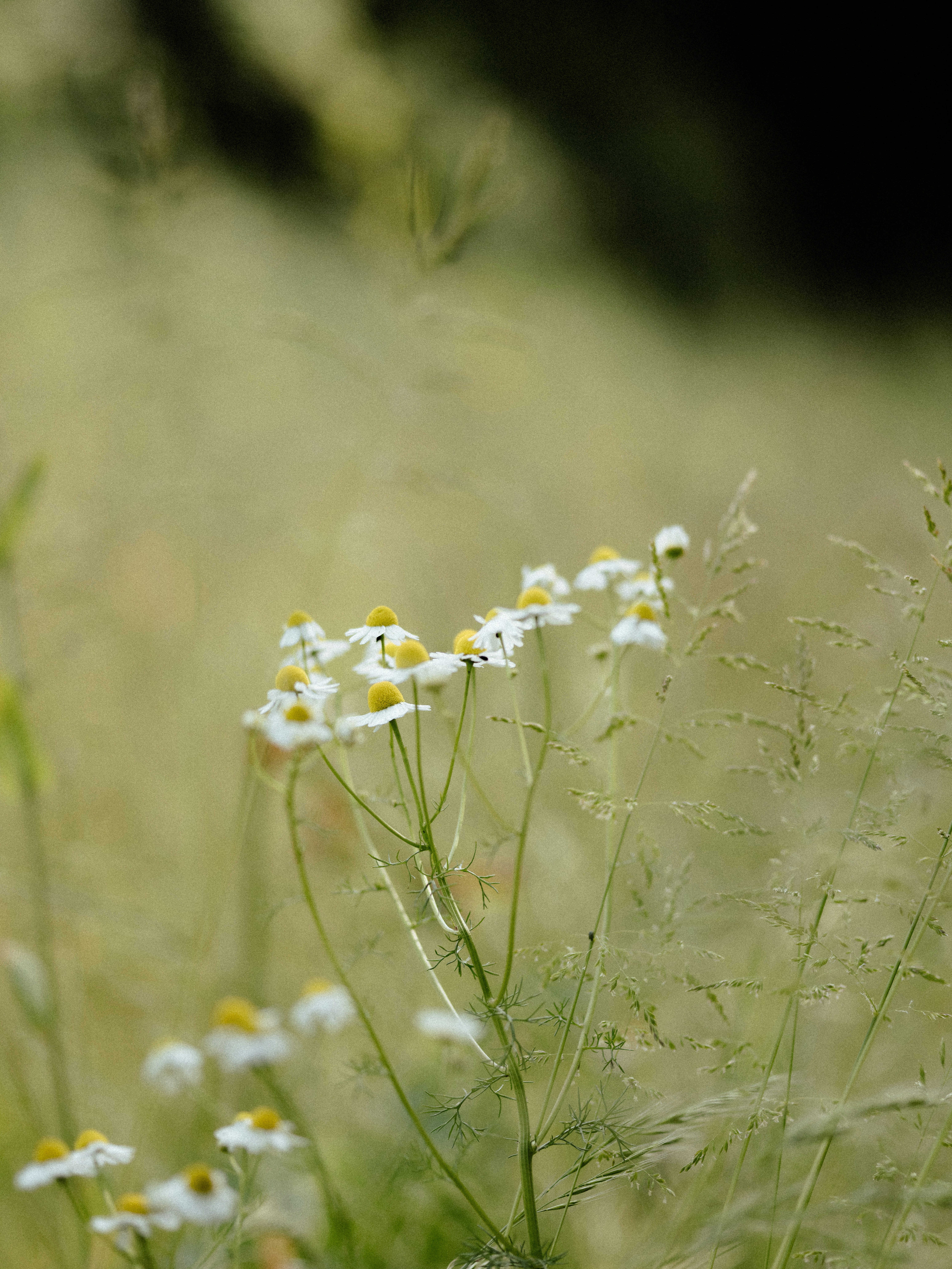 Photo by anniespratt