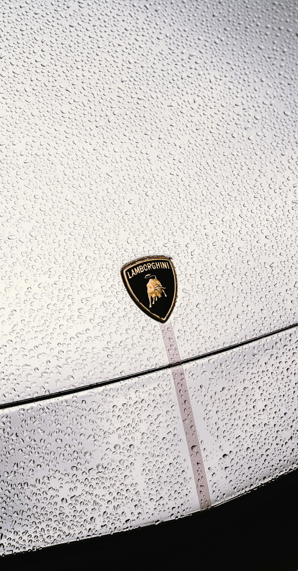 a close up of a car's emblem on a white car