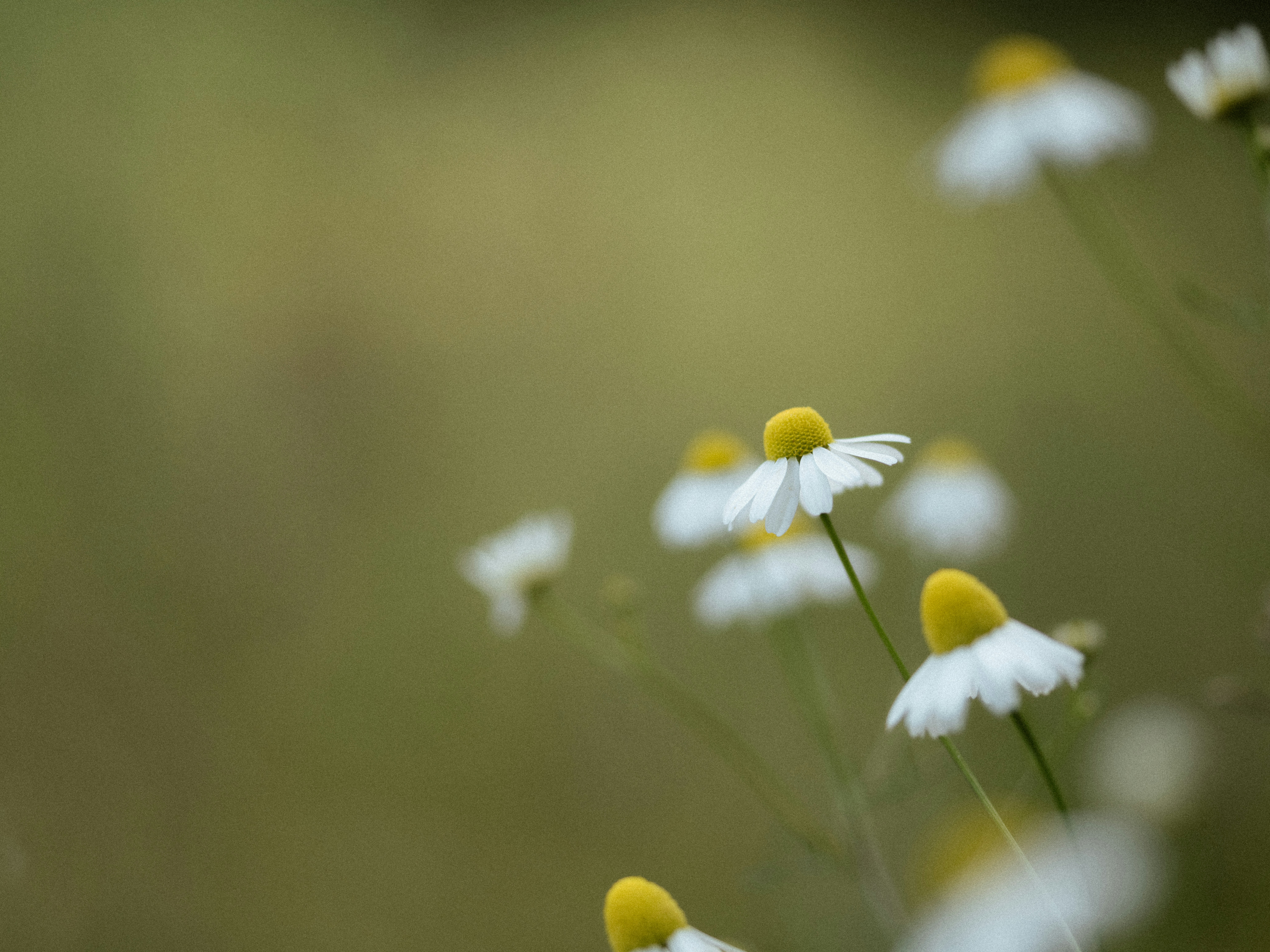 Photo by anniespratt