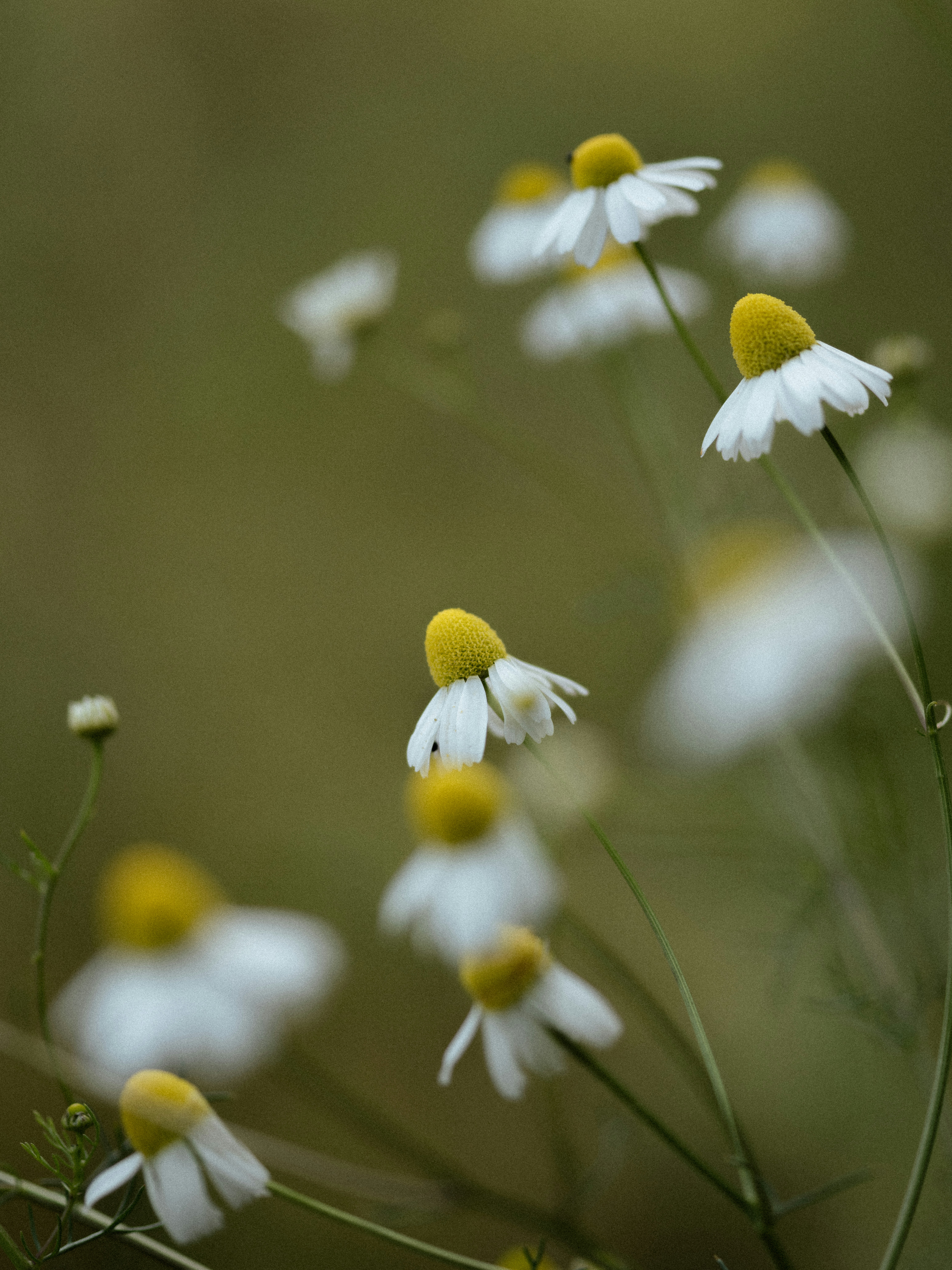 Photo by anniespratt