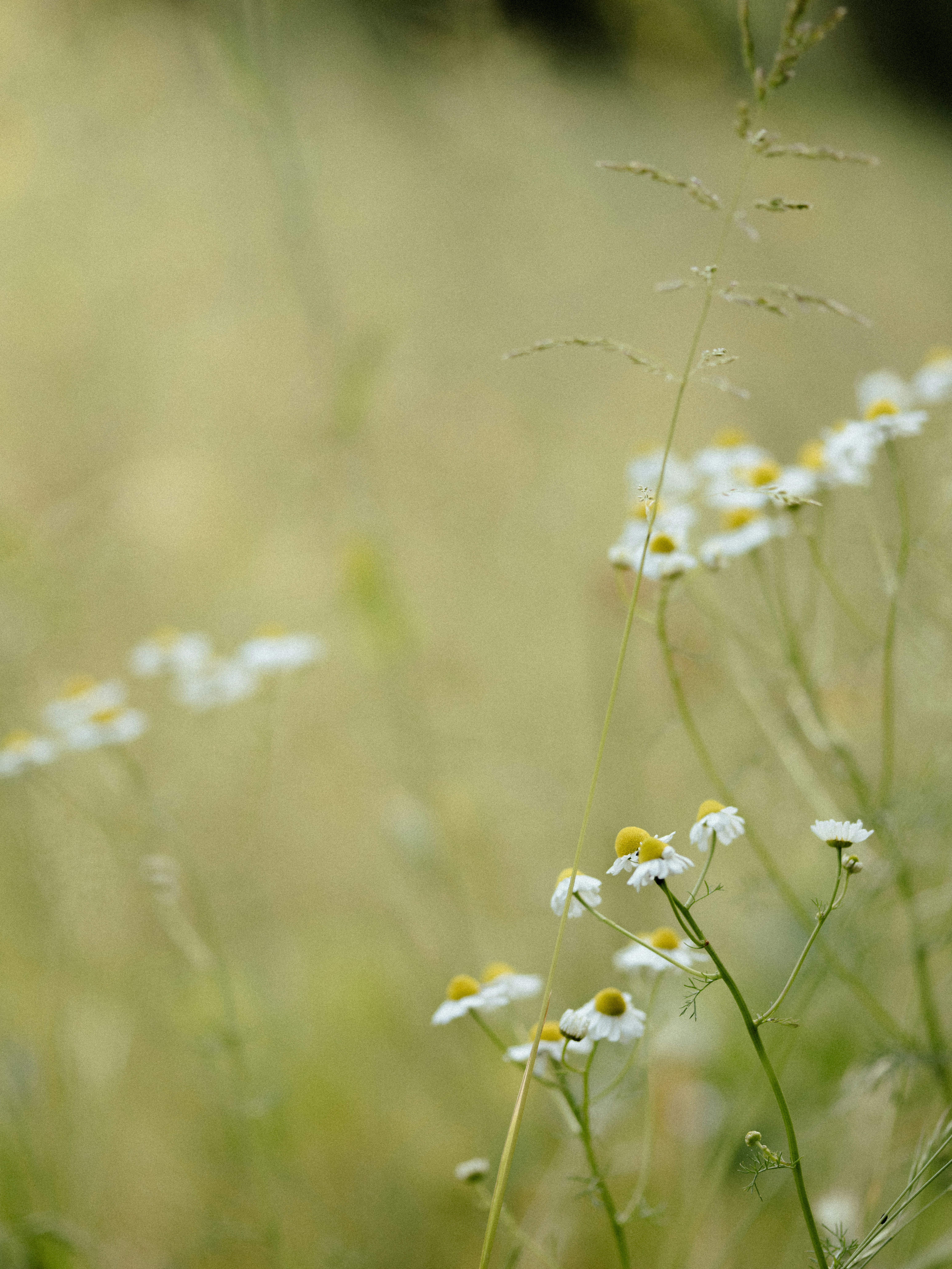 Photo by anniespratt