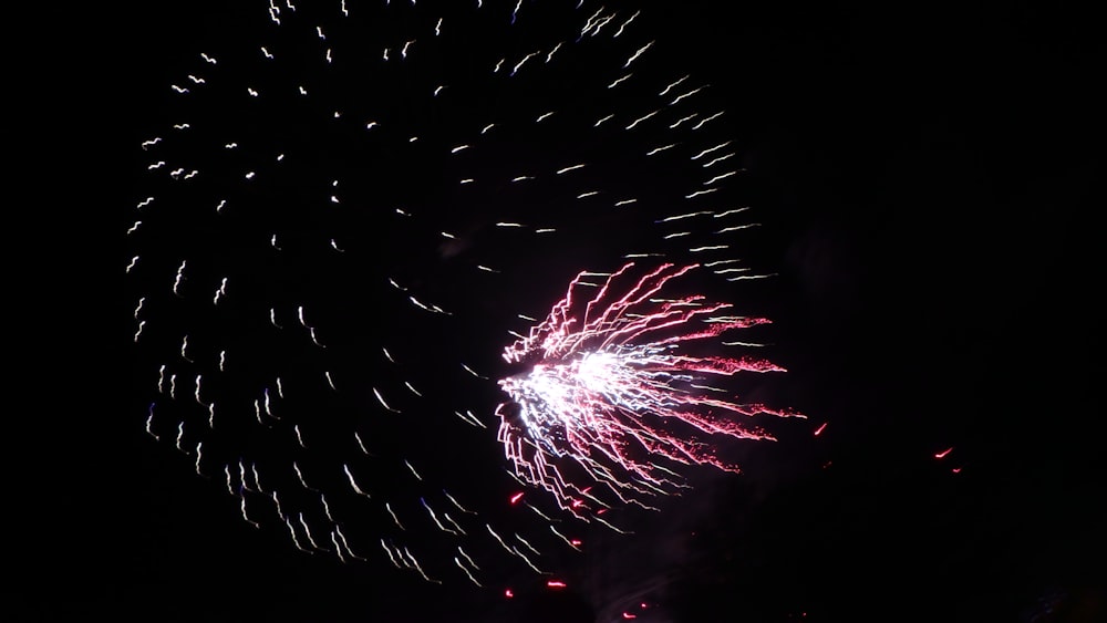 a large fireworks is lit up in the night sky