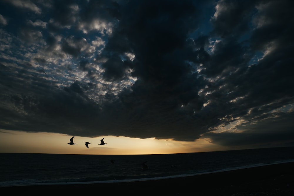 a couple of birds flying over the ocean under a cloudy sky