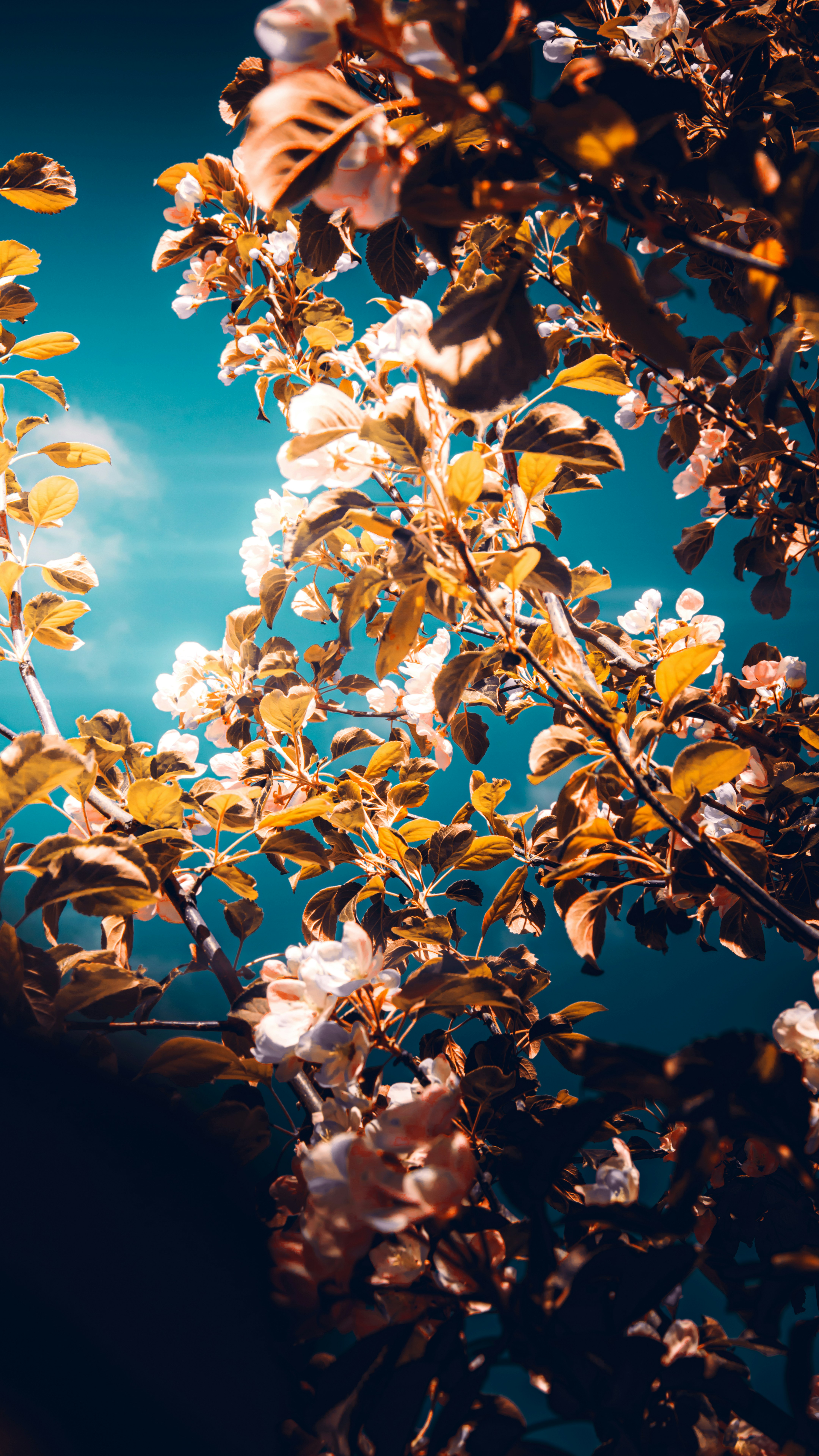 Photo by impermanent