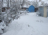 A freshly shoveled driveway with clean edges surrounded by snow-covered pine trees.