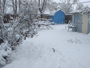 A freshly shoveled front porch with snow piled neatly to the side.