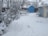 Image of a tidy yard with freshly cleared snow and trimmed bushes.