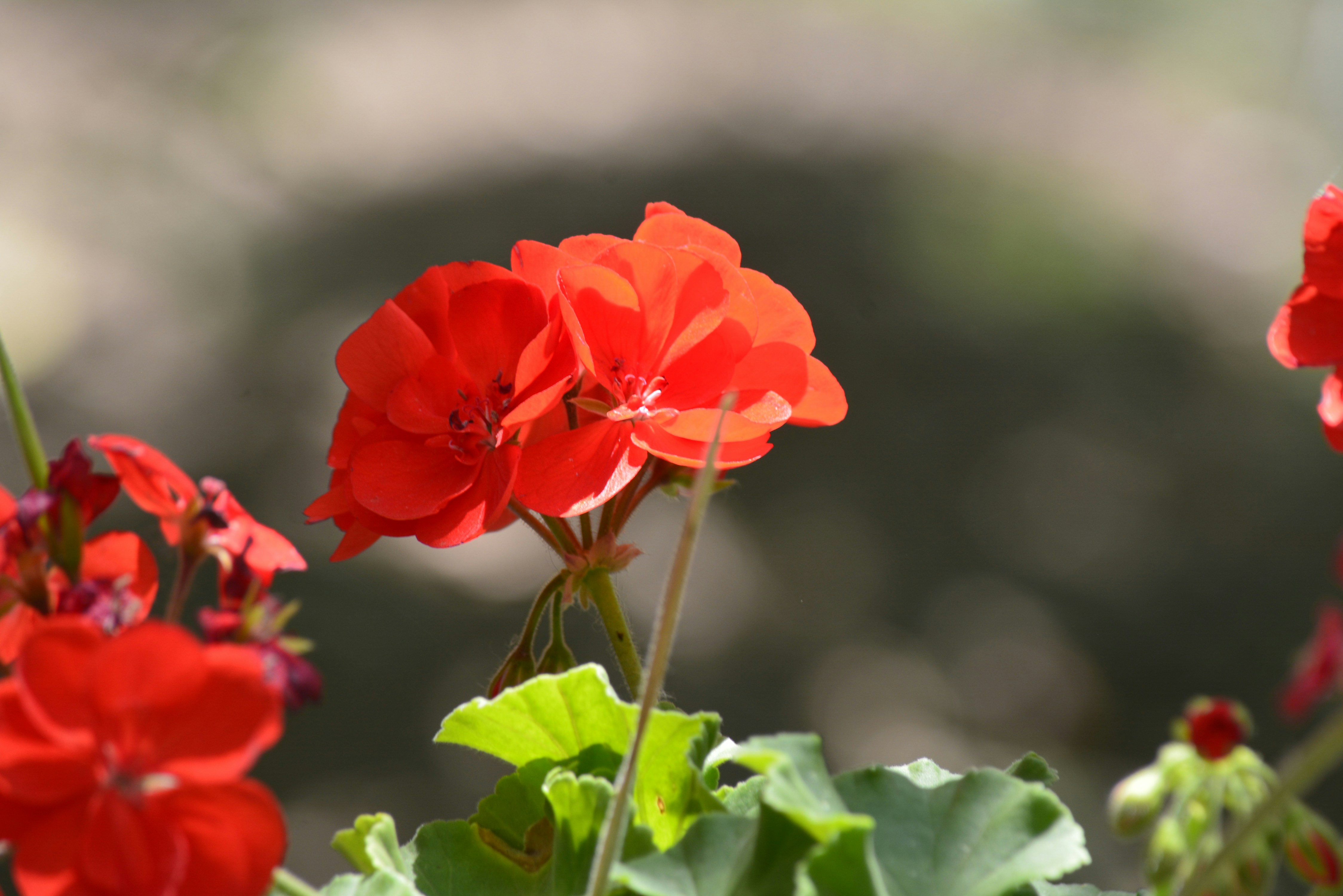 Photo by morteza_valinezhad