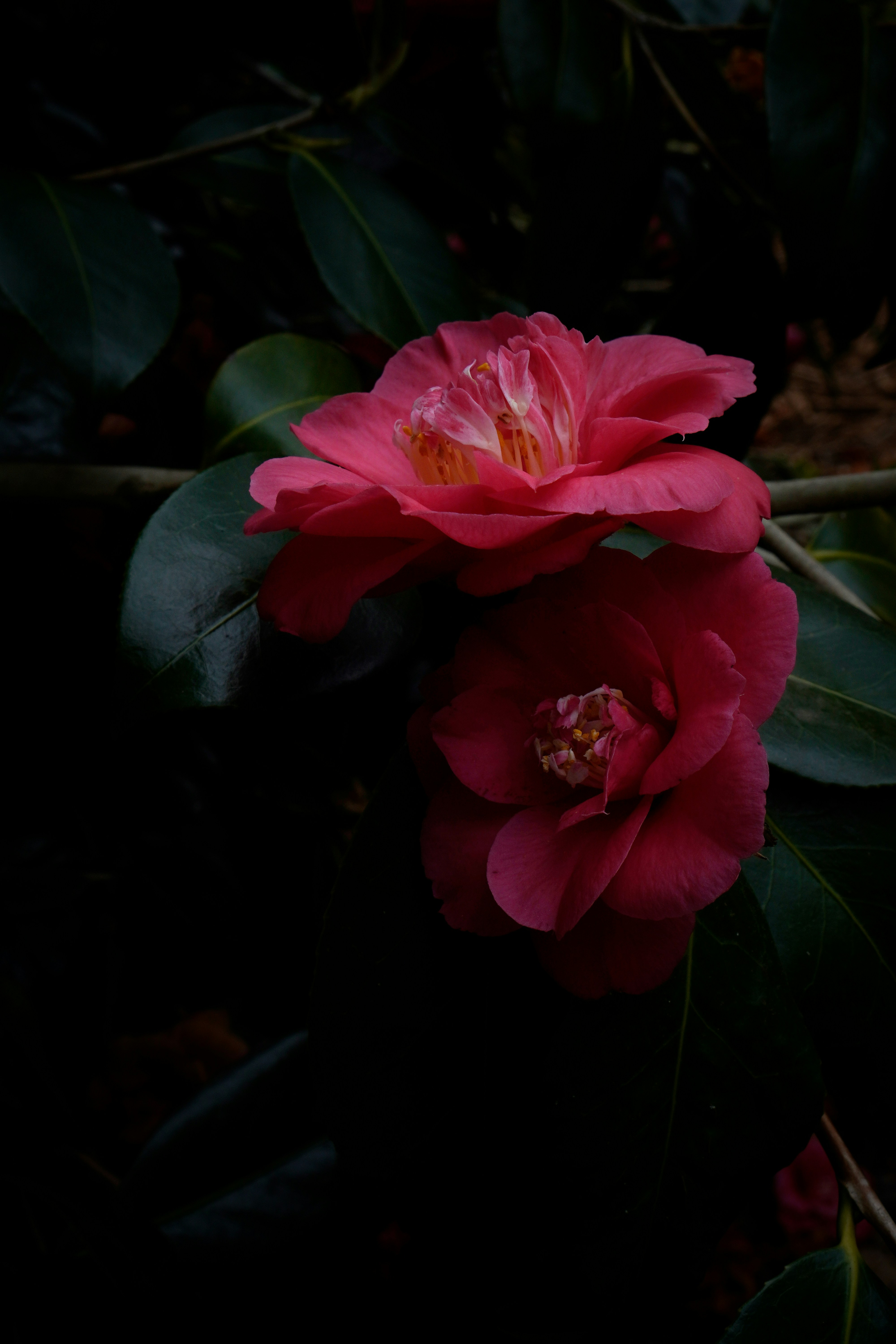 Photo by nataliagasiorowska