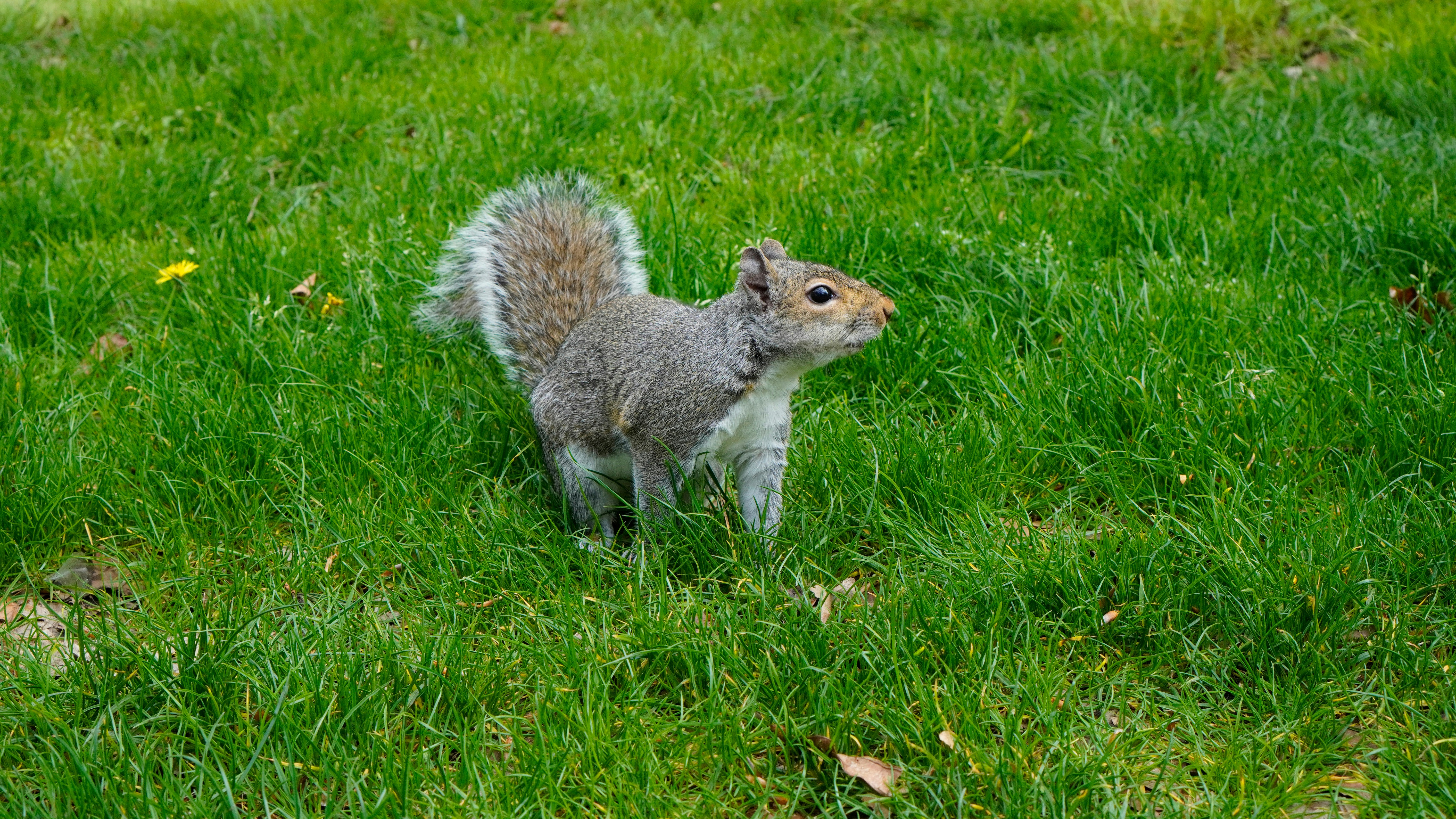 Photo by nataliagasiorowska