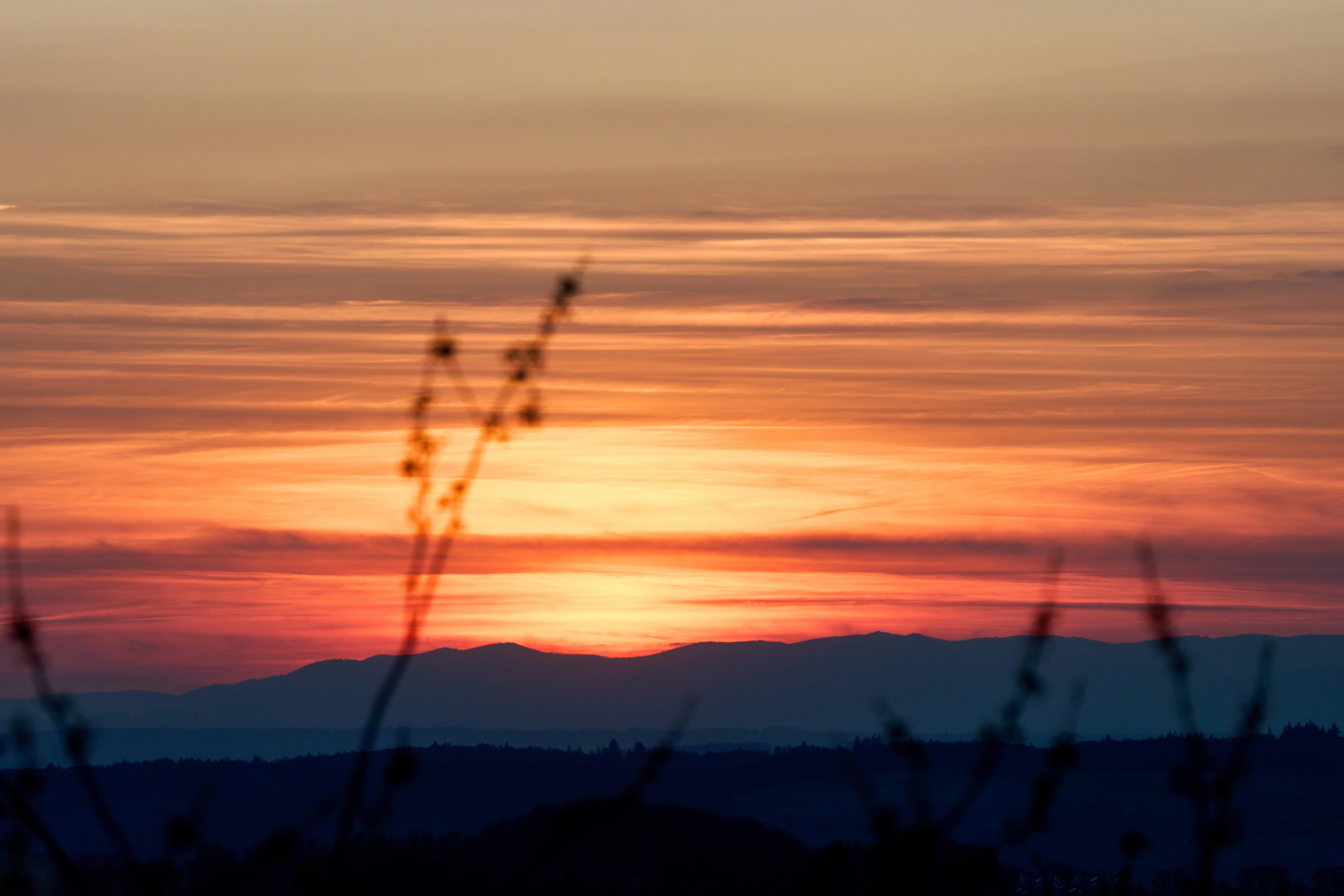 Photo by wolfgang_hasselmann