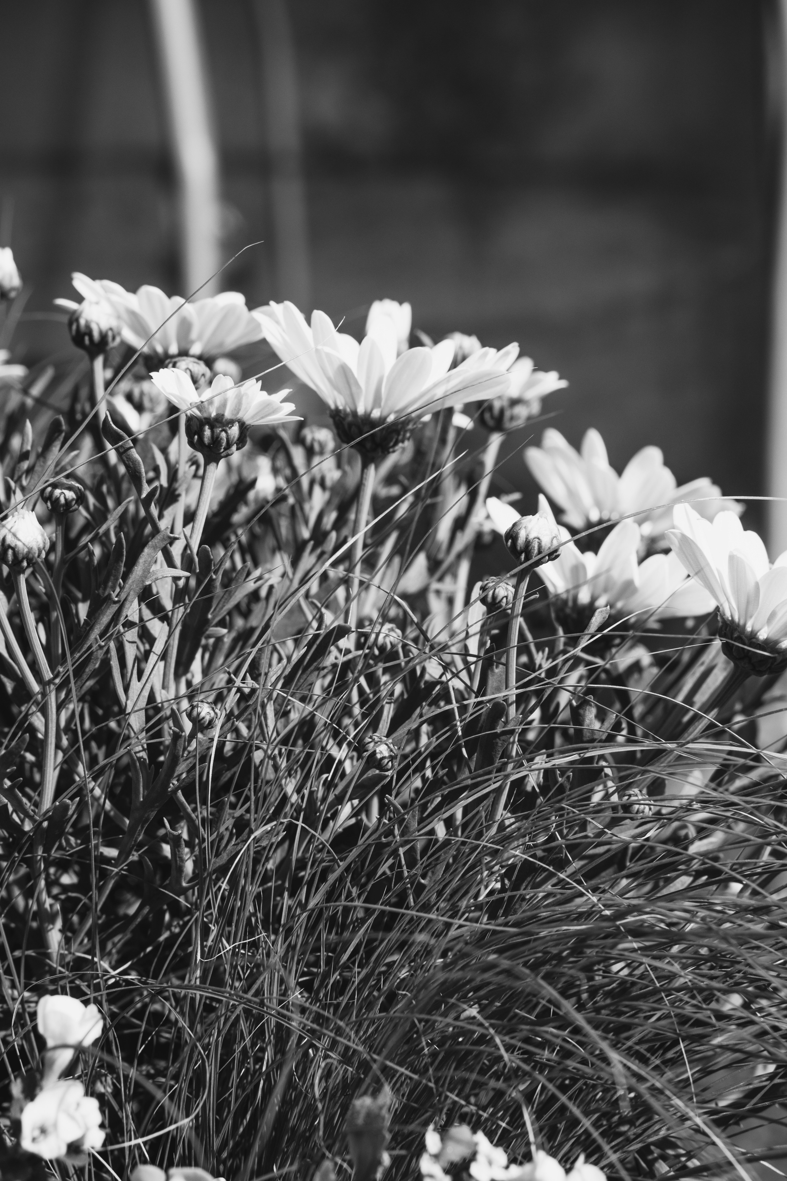 Photo by kubliz