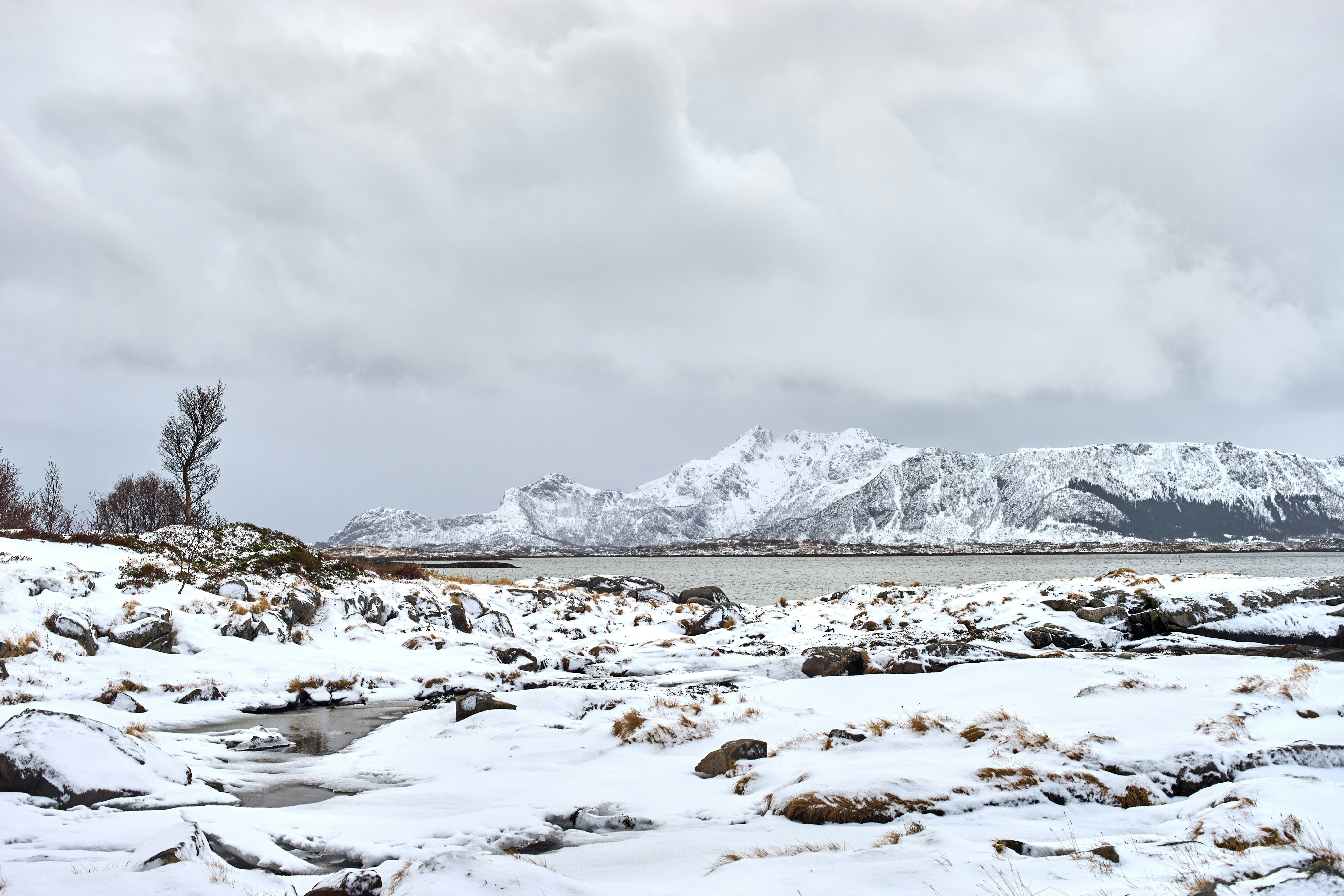 Photo by wolfgang_hasselmann