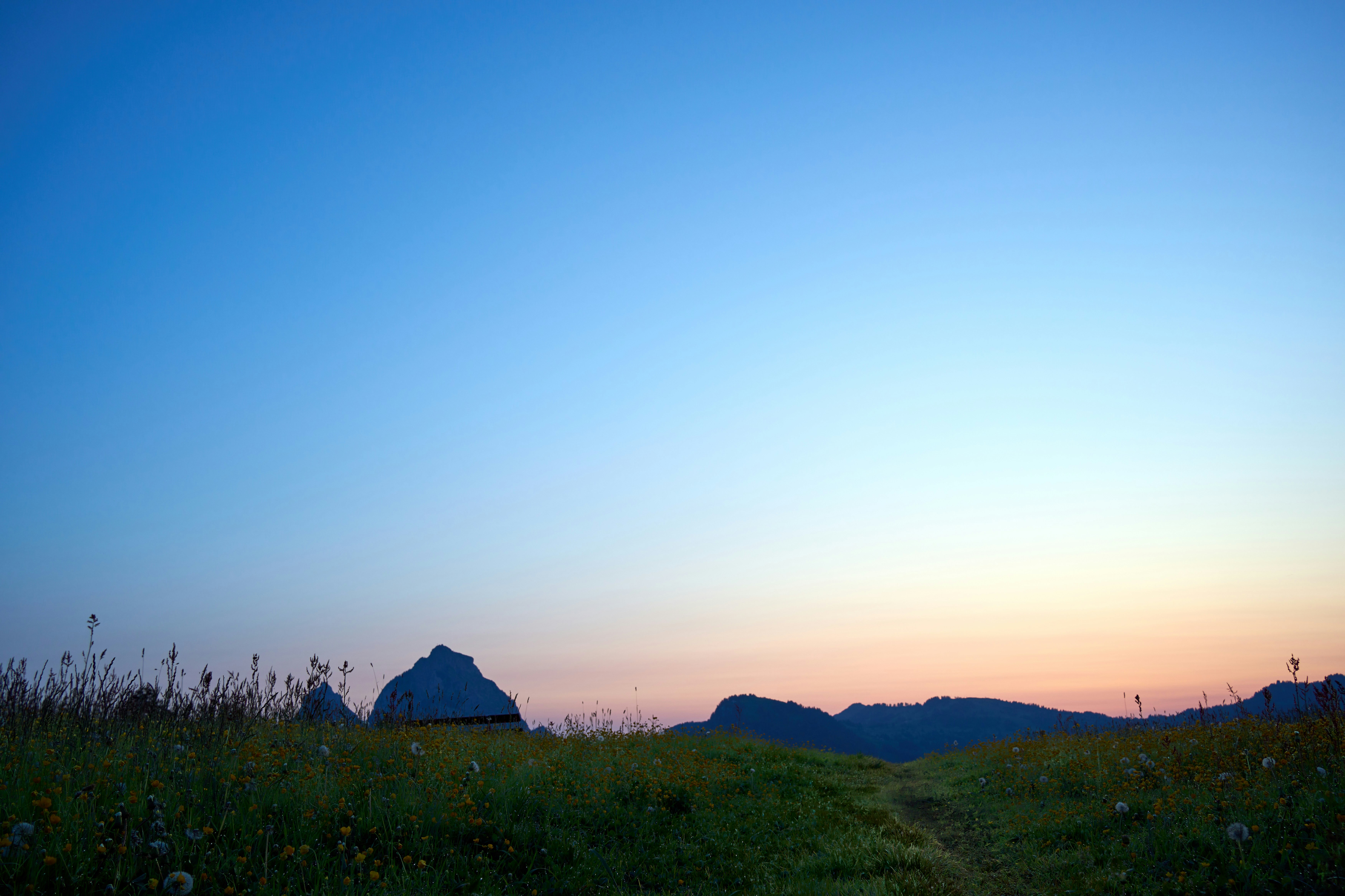 Photo by wolfgang_hasselmann