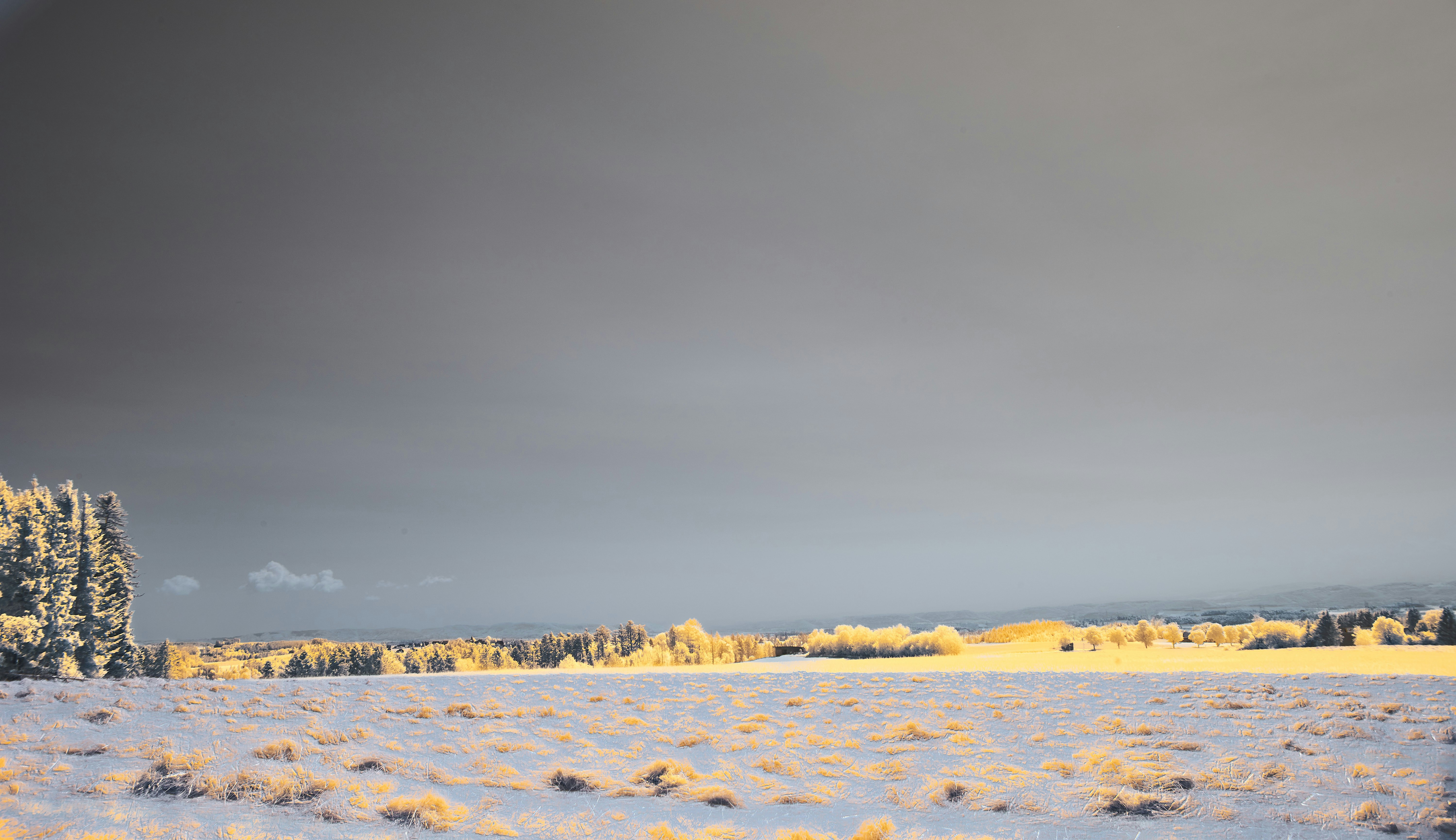 Photo by wolfgang_hasselmann