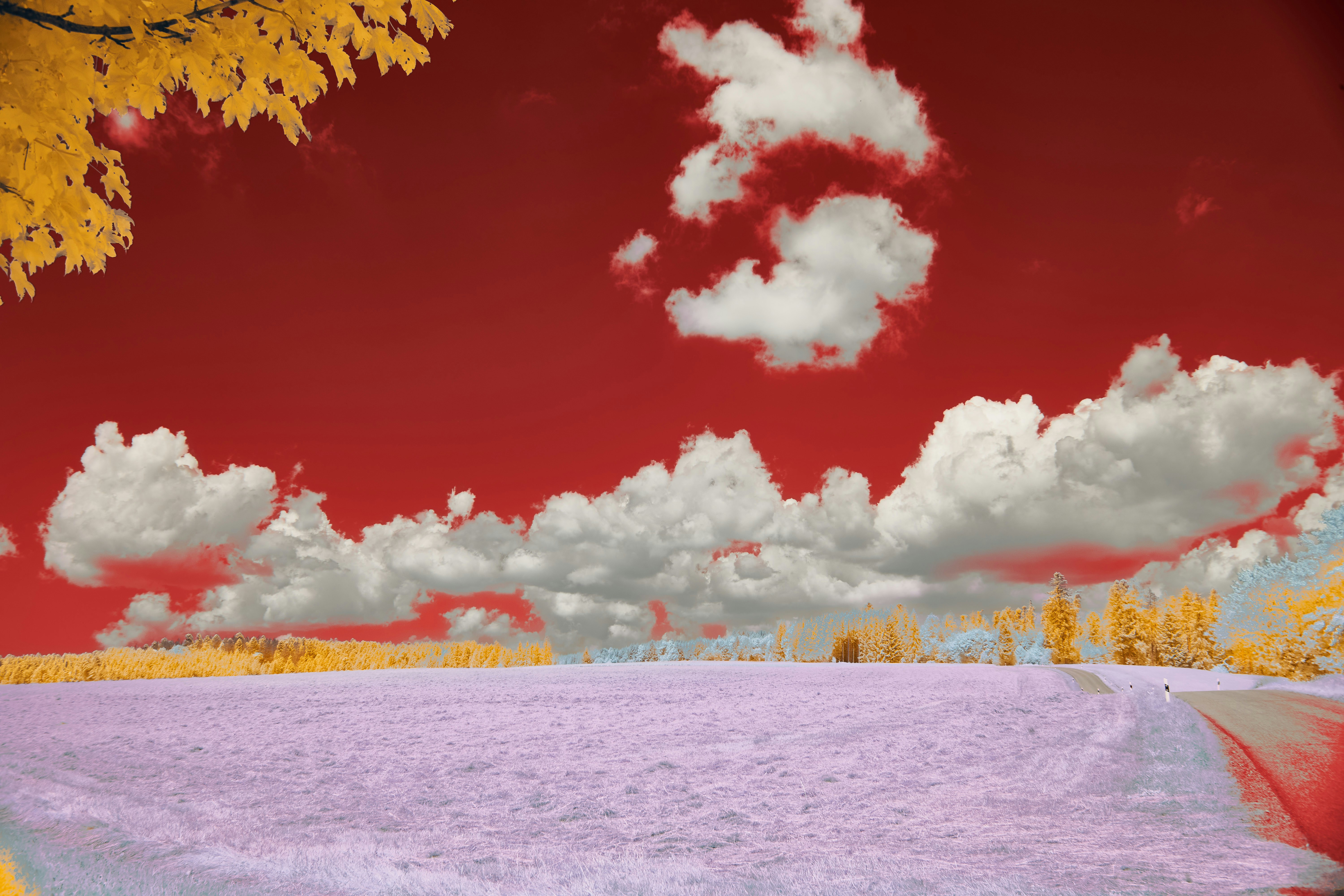 Photo by wolfgang_hasselmann