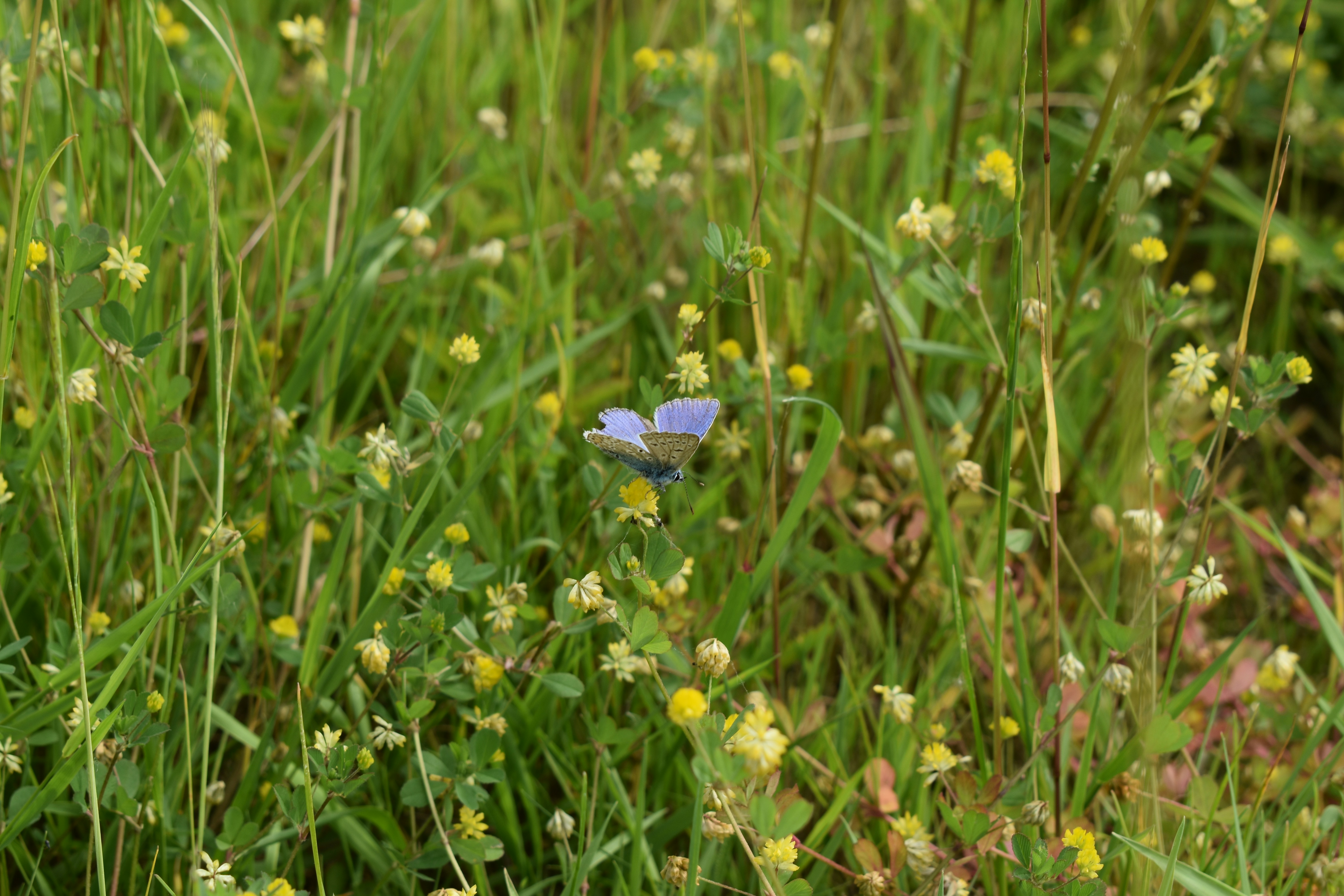 Photo by ninaelisereiter