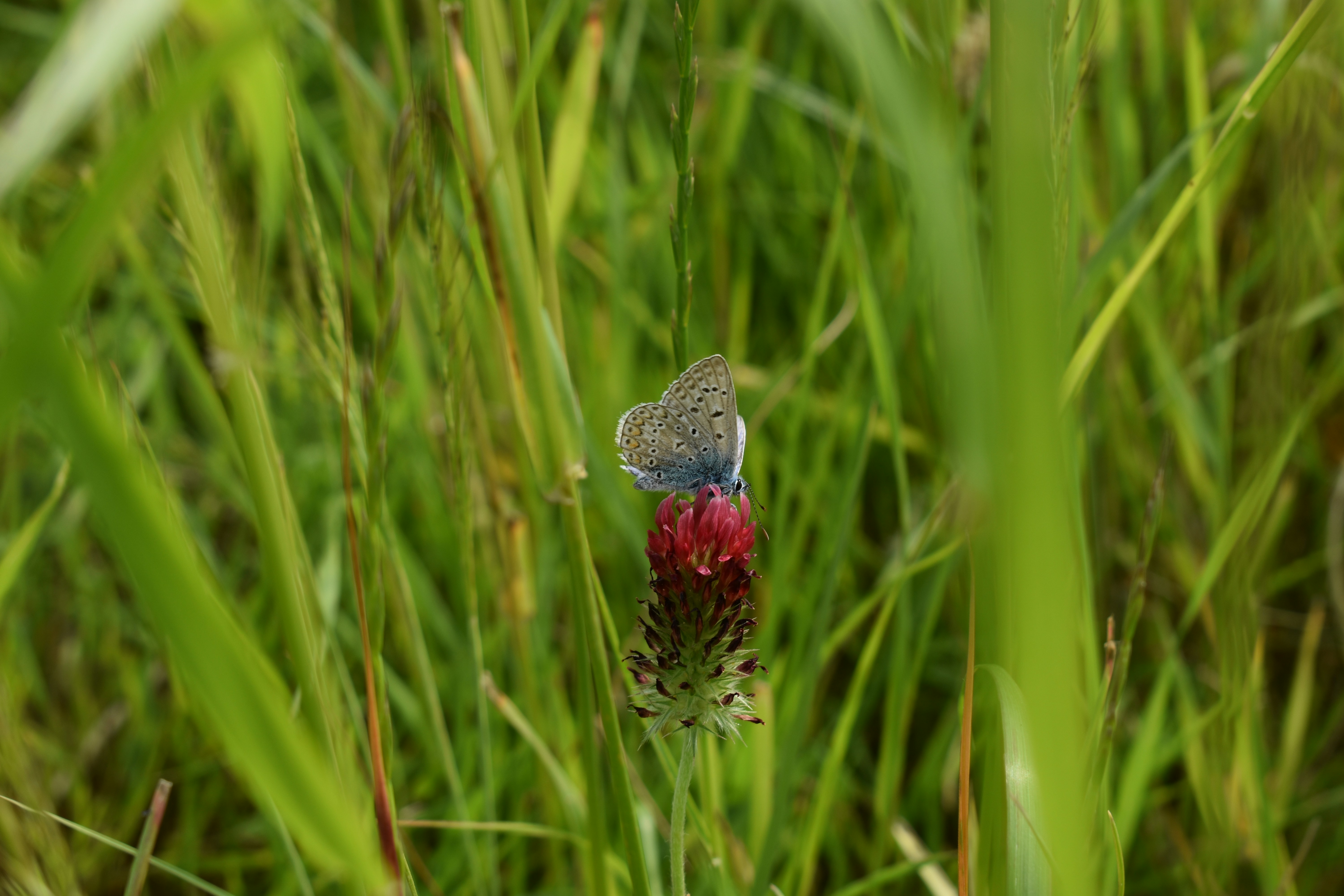 Photo by ninaelisereiter