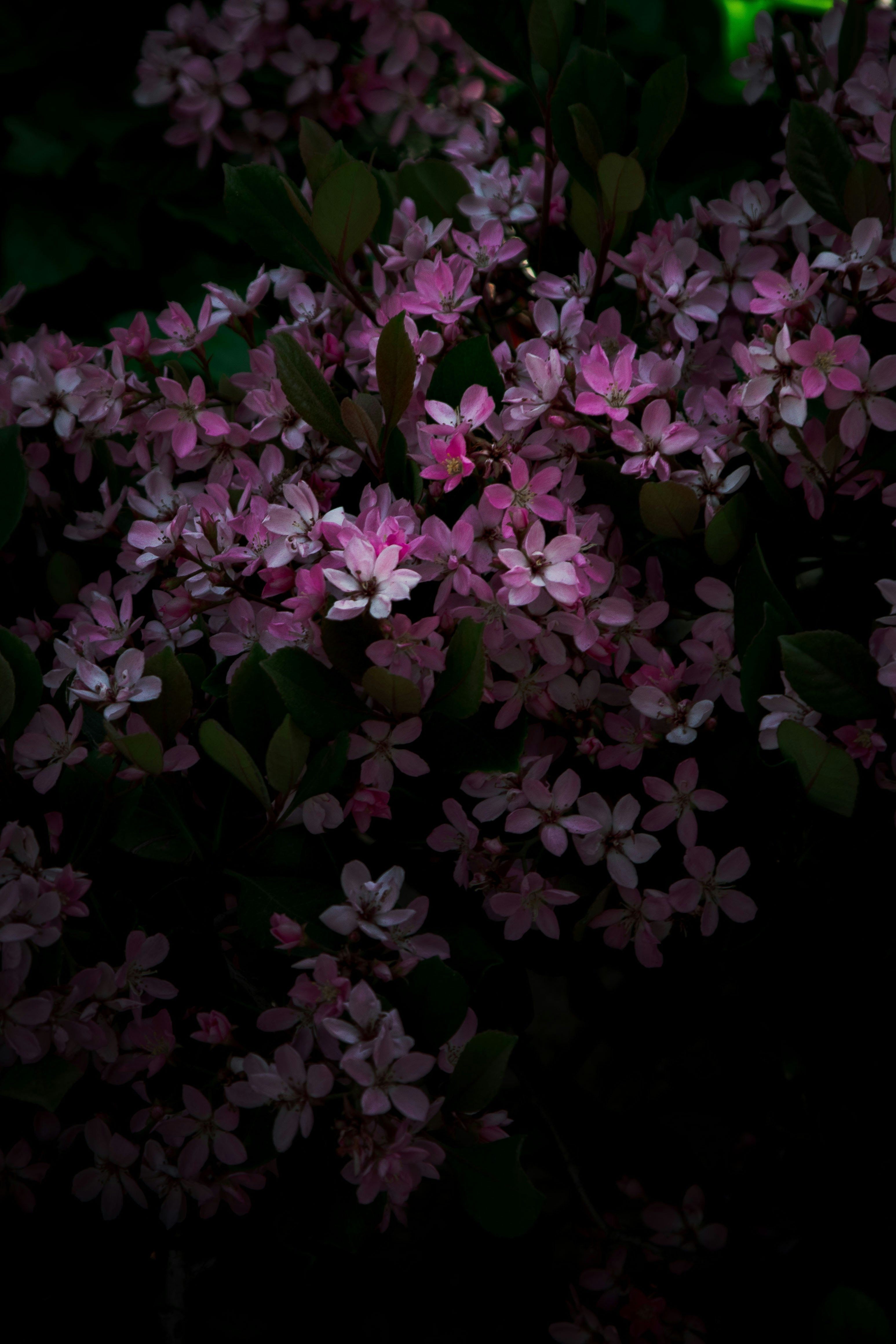 Photo by parkerdesignsss