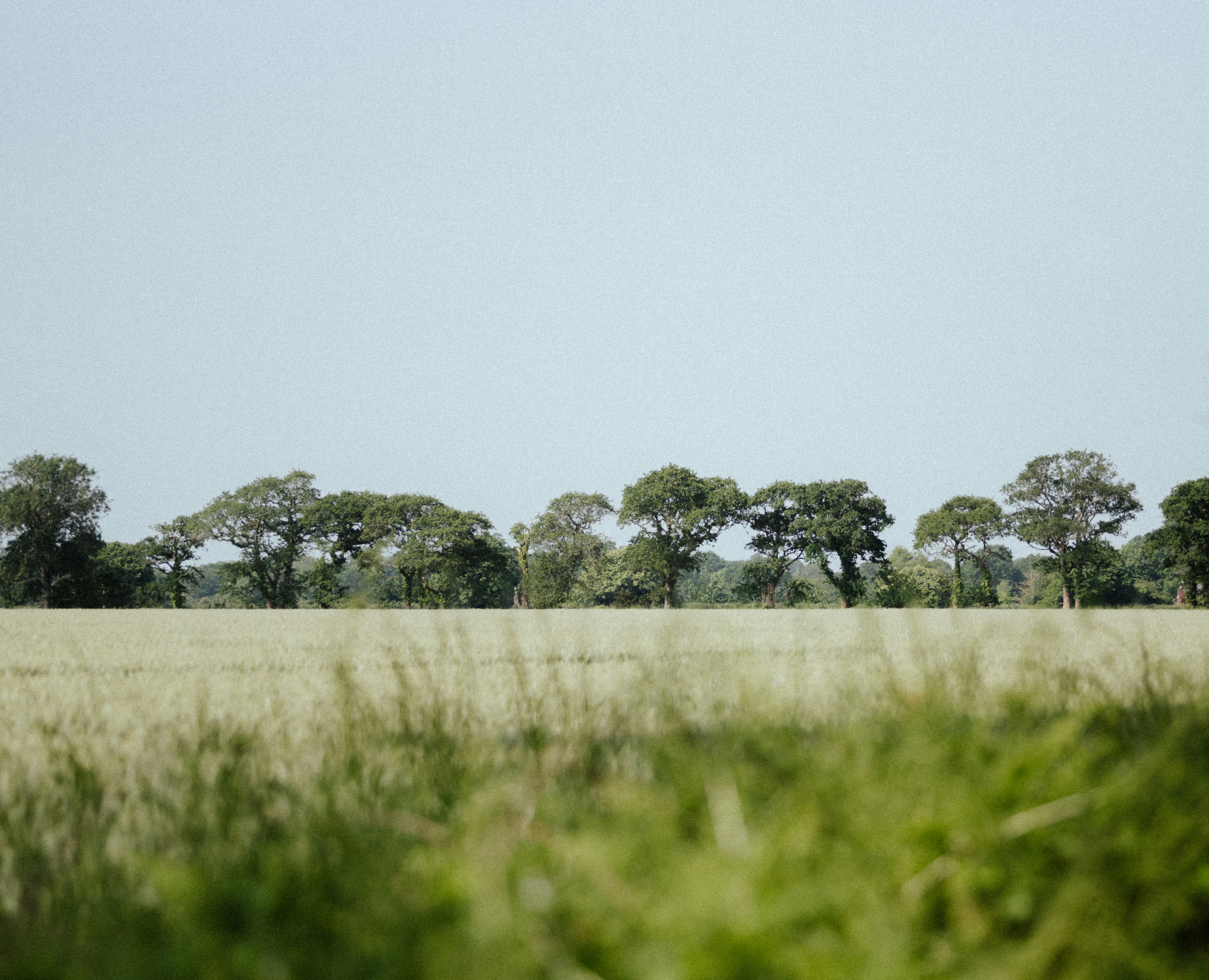 Photo by anniespratt