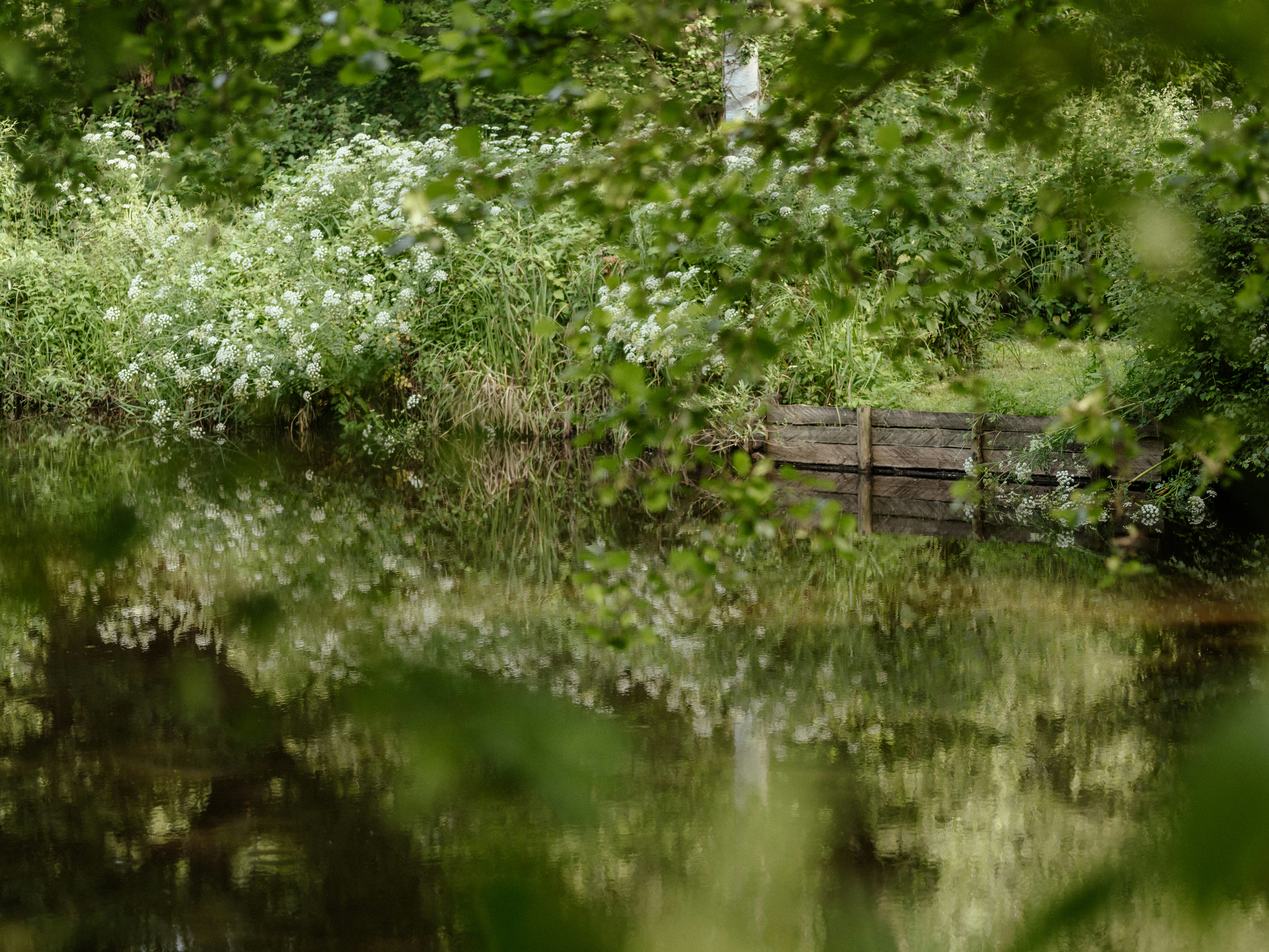 Photo by anniespratt