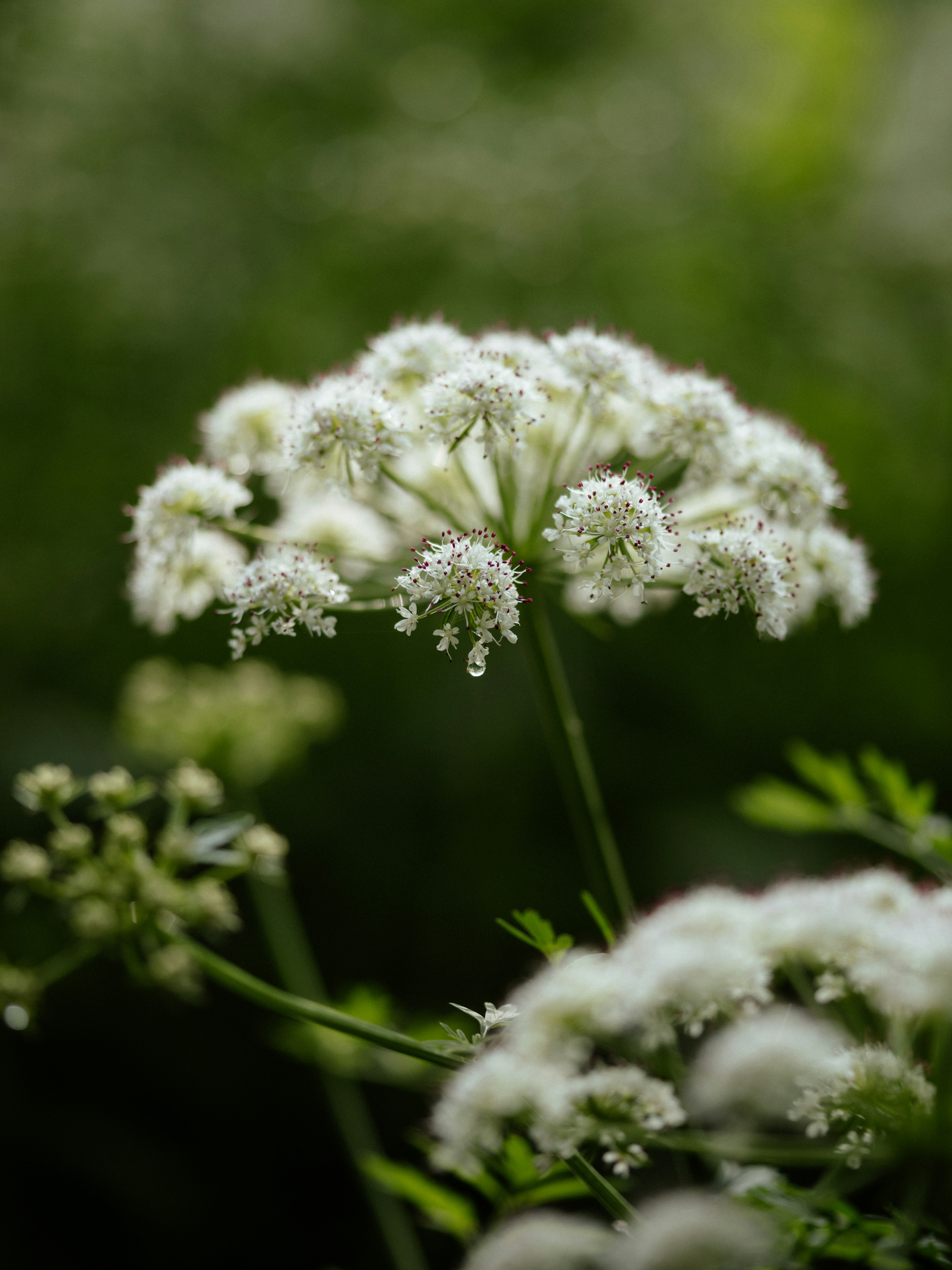 Photo by anniespratt