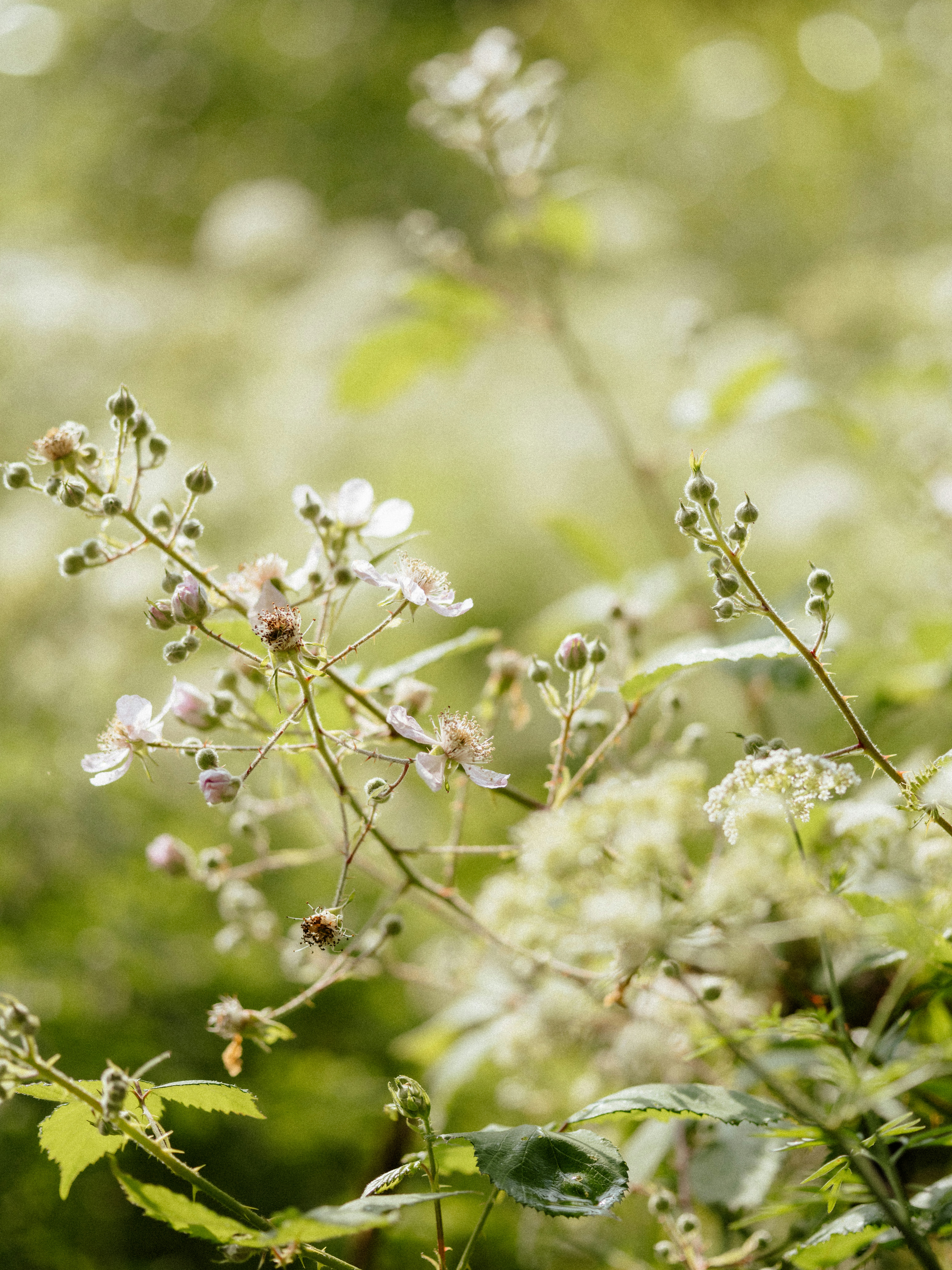 Photo by anniespratt