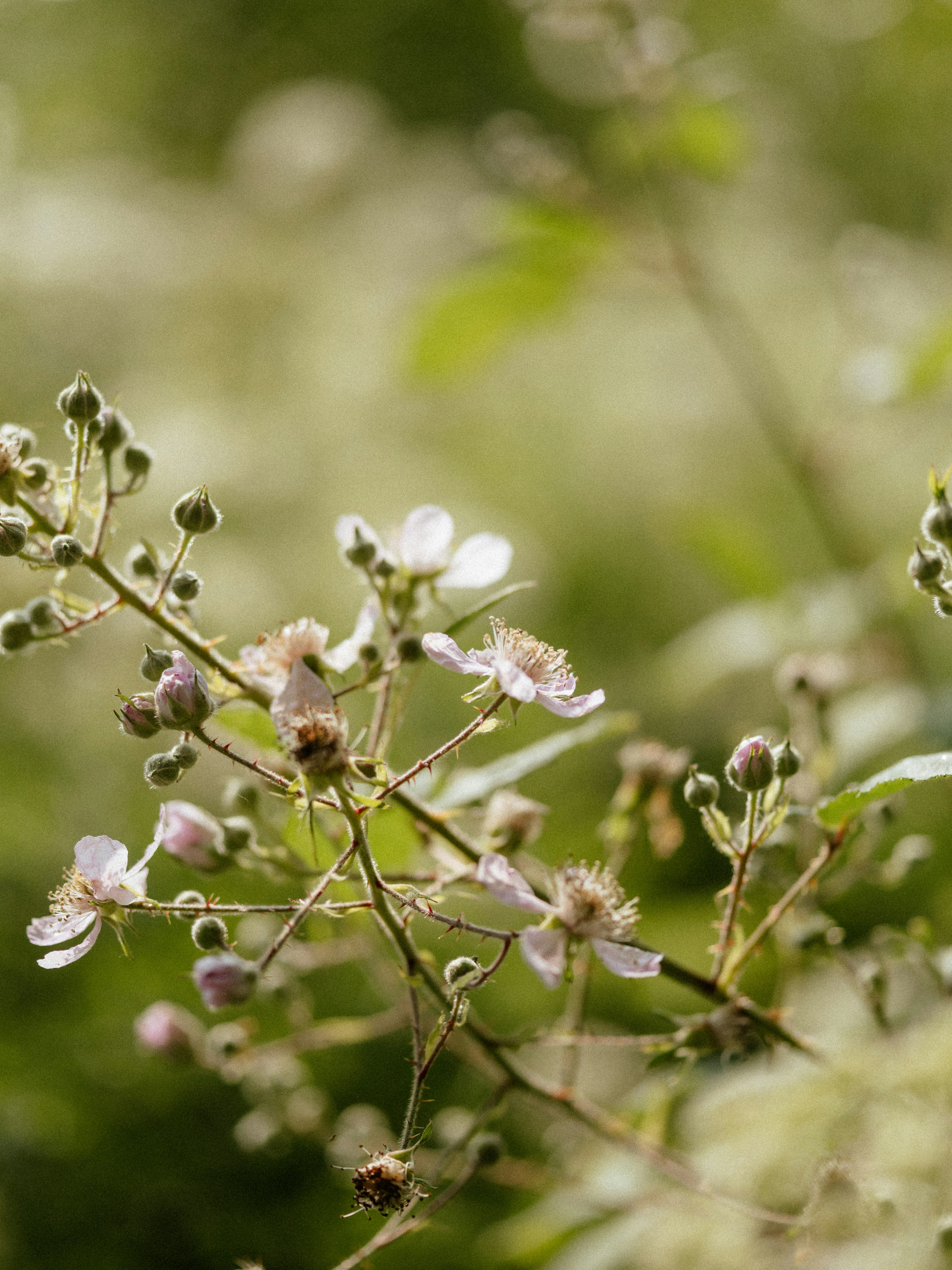 Photo by anniespratt