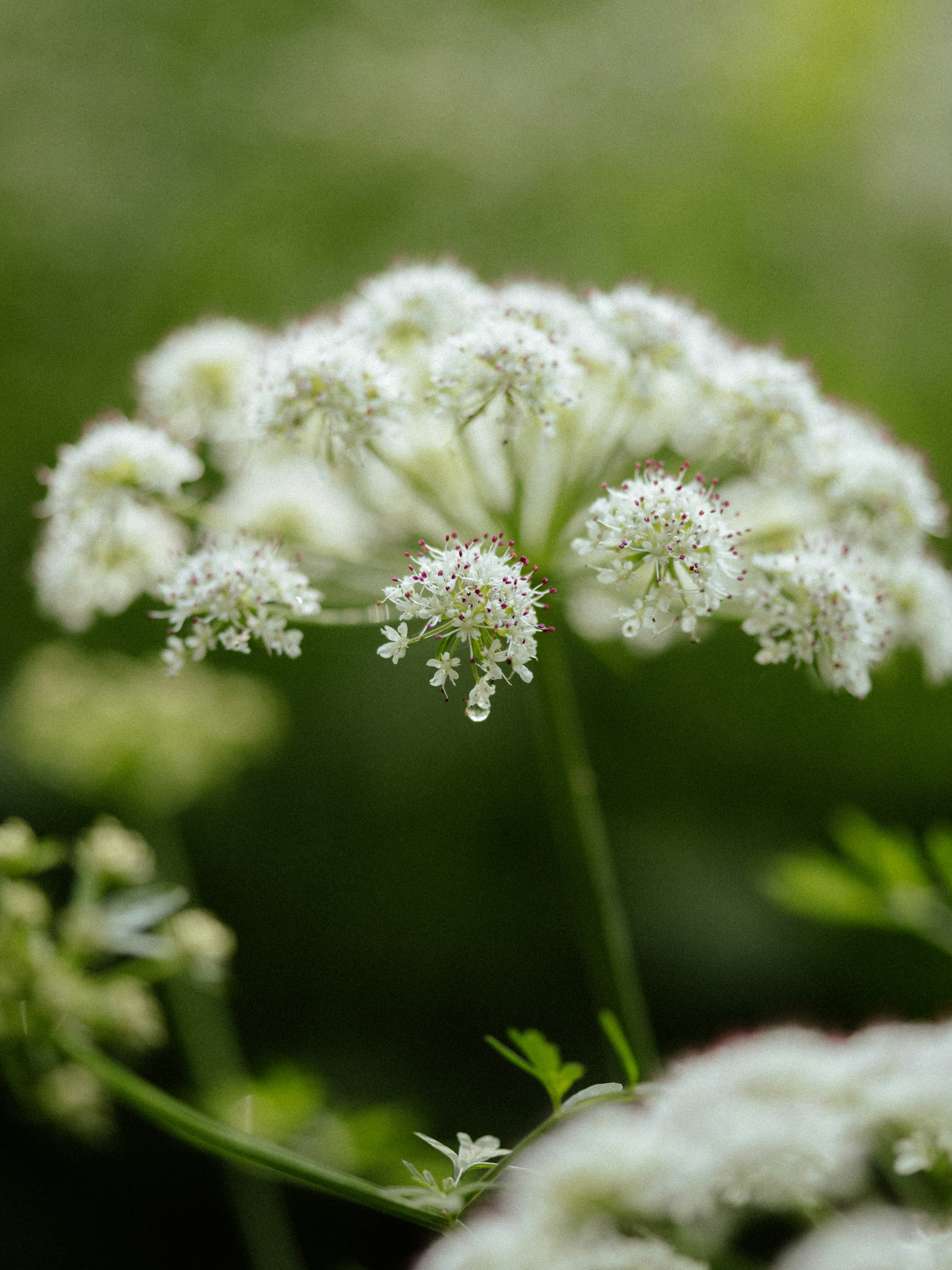 Photo by anniespratt