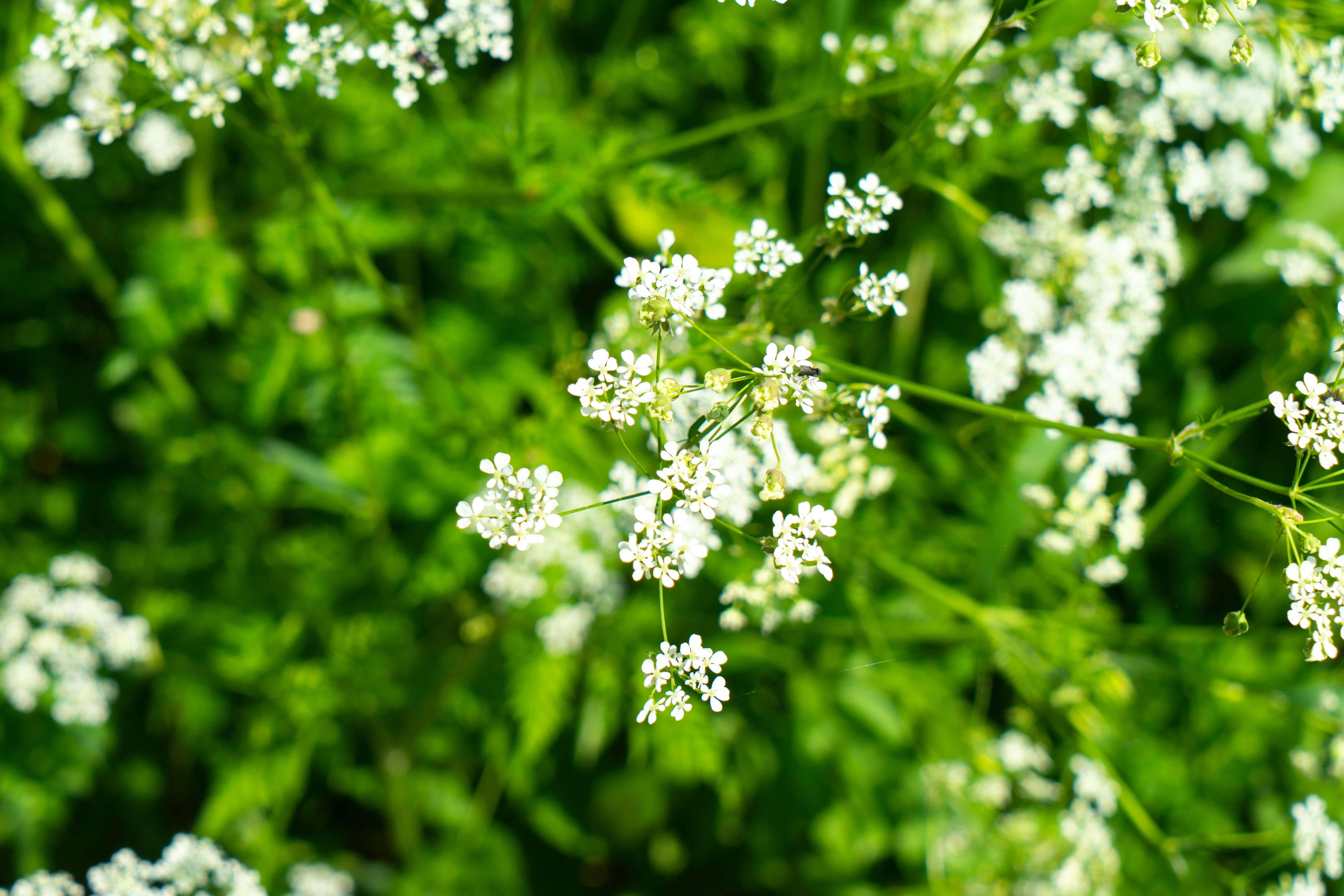 Photo by huefnerdesign