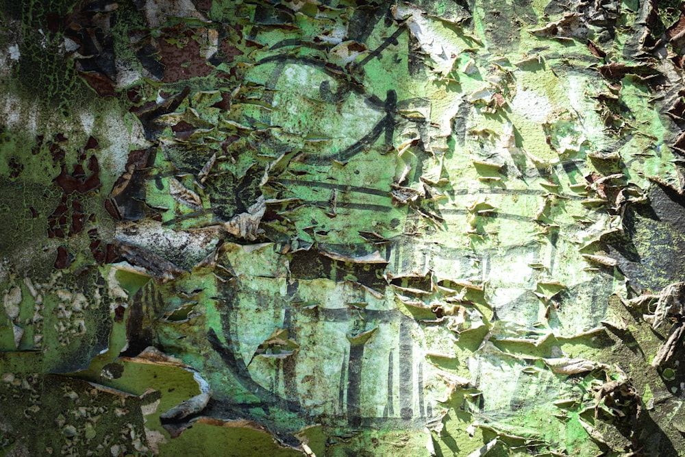 a close up of the bark of a tree