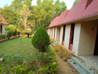 A garden area with well-maintained foliage, including various shrubs and a palm-like plant. The garden is adjacent to a building with a beige exterior and red tiled roof. The area is surrounded by trees, some with yellow flowers. There are fallen leaves scattered on the grass and path.