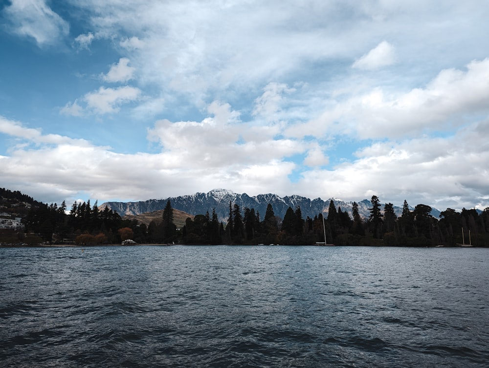 a body of water surrounded by trees and mountains