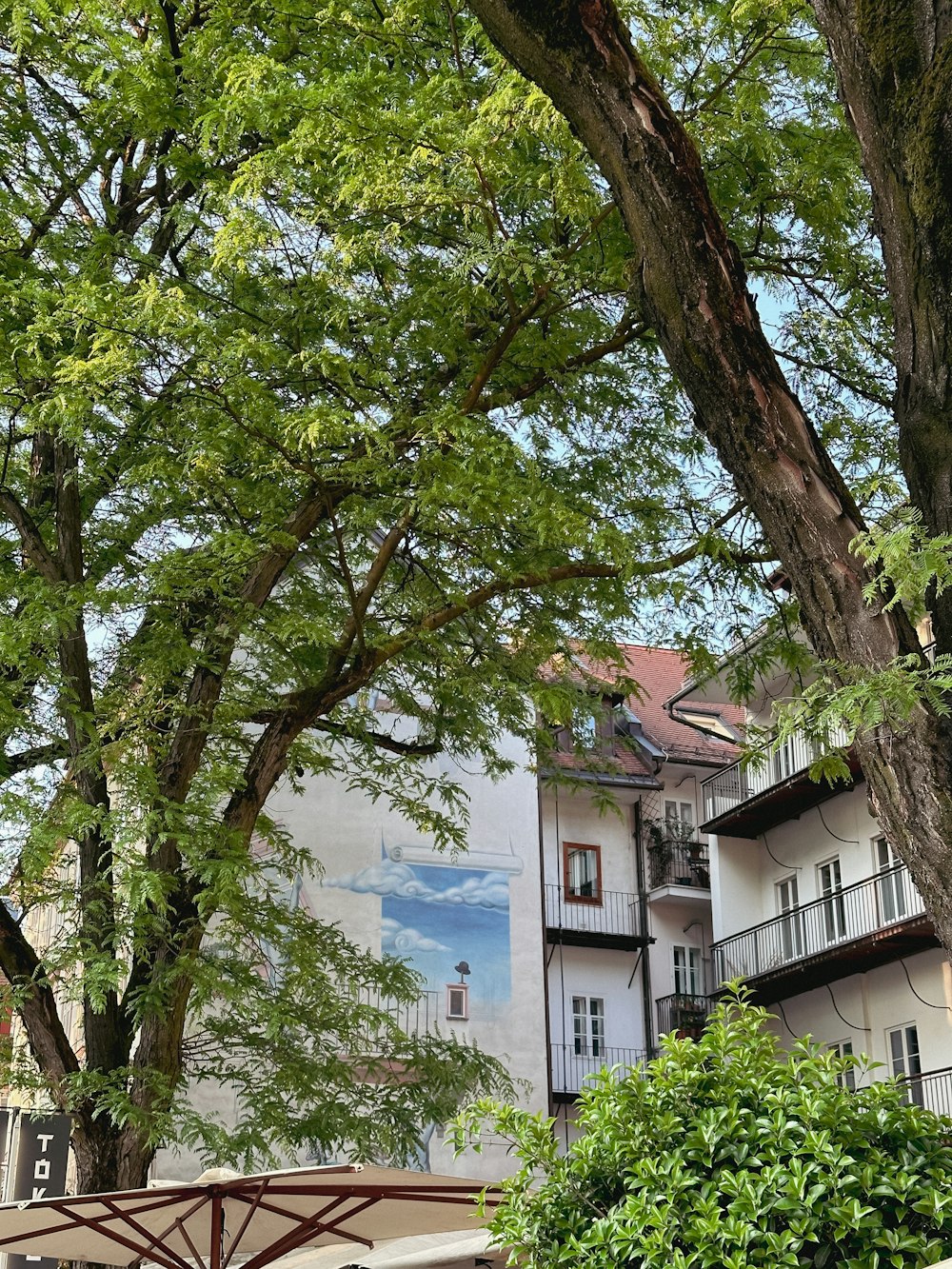 um banco sob uma árvore em frente a um prédio
