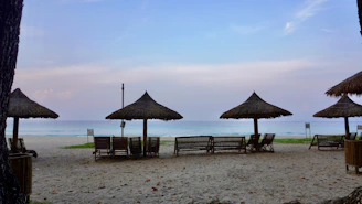 a bunch of umbrellas that are on a beach