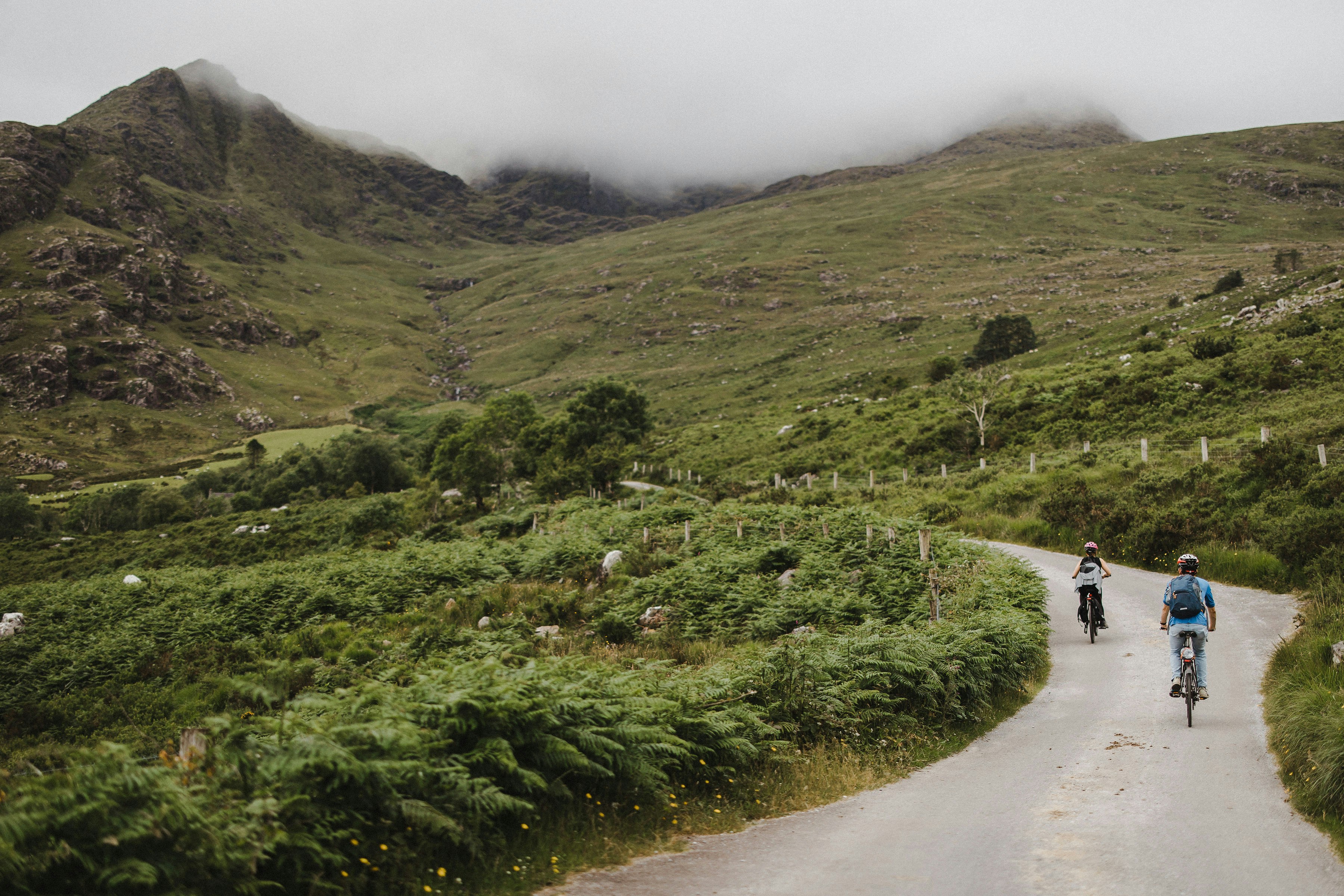 a couple of people riding bikes down a road