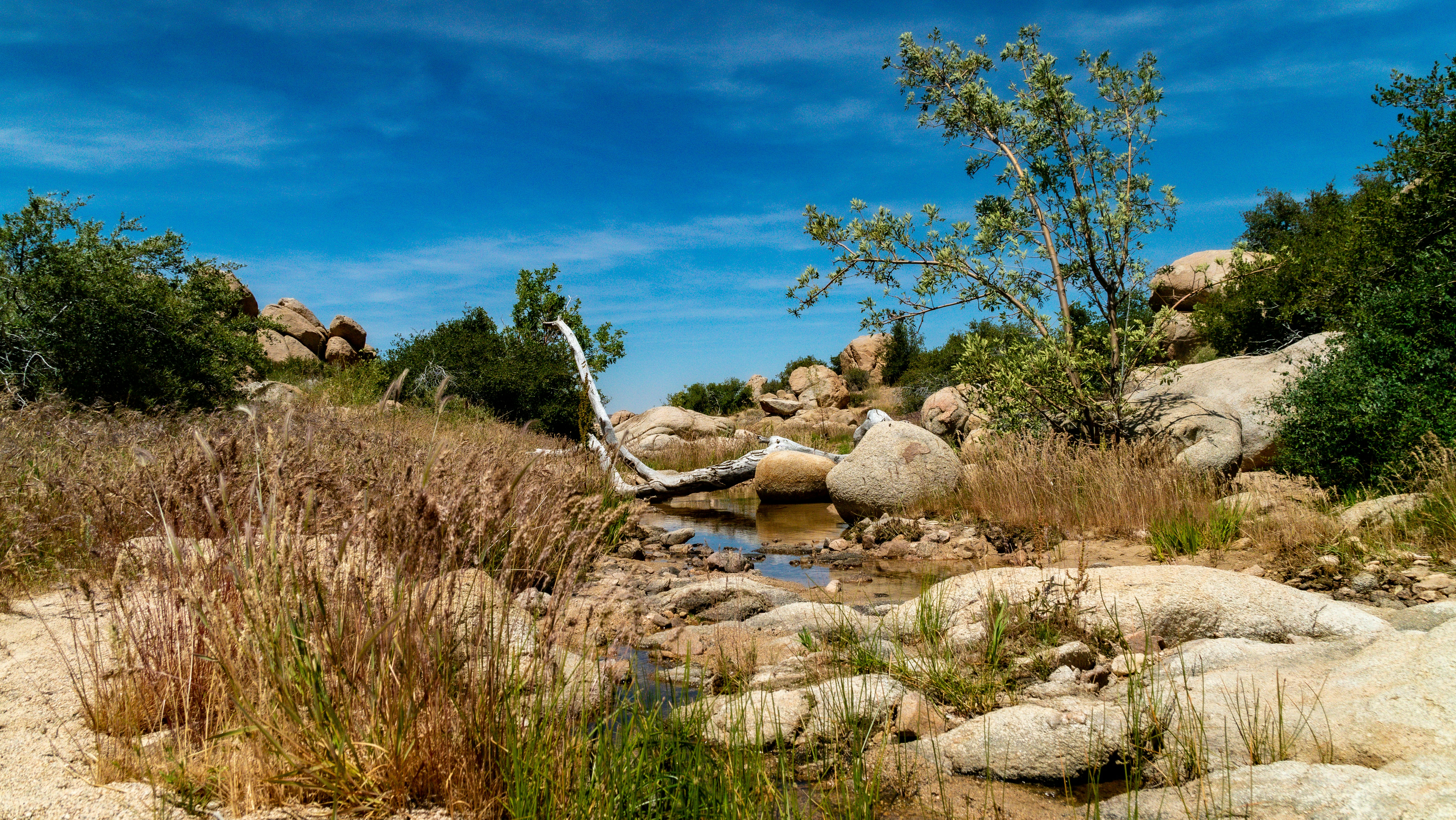 Photo by crystaltubens