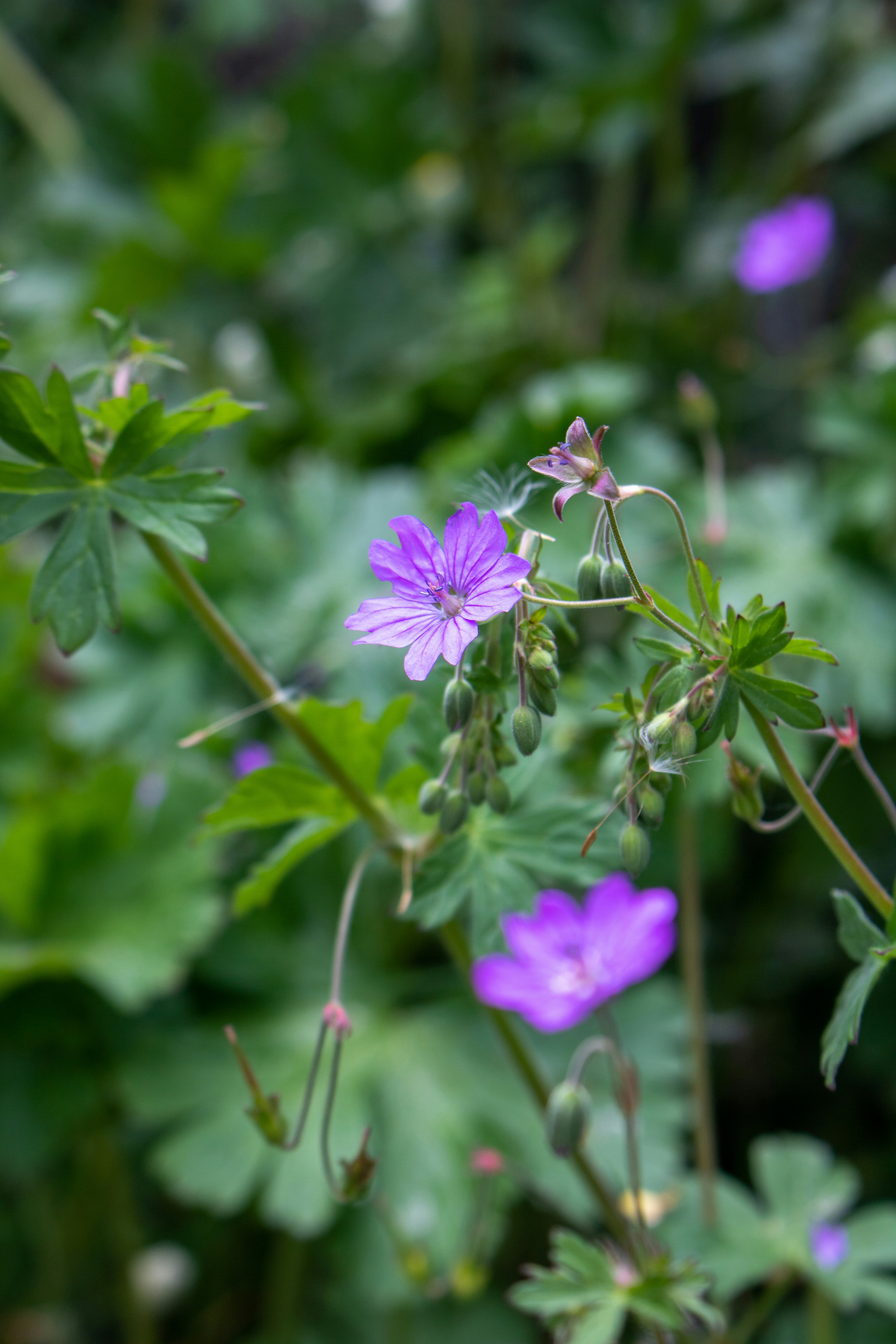 Photo by diegomattevi