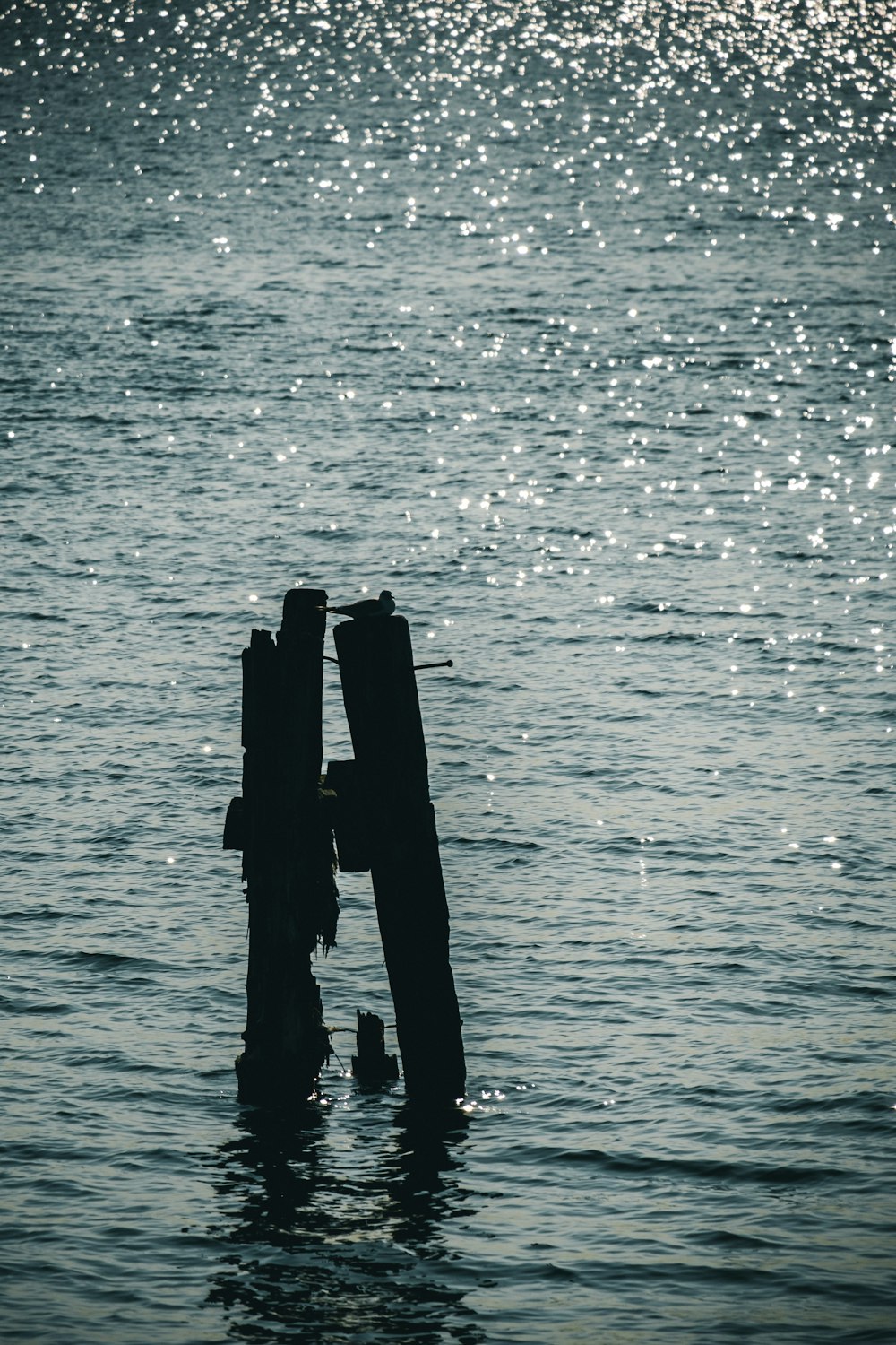 a couple of wooden posts sticking out of the water