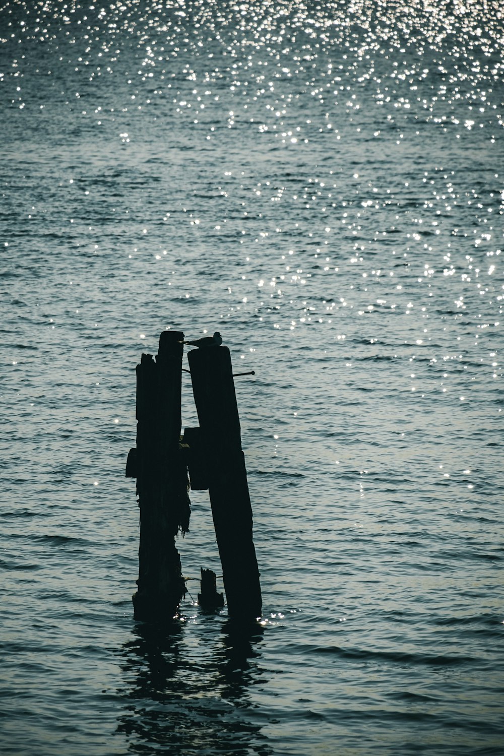 quelques poteaux en bois qui sortent de l’eau