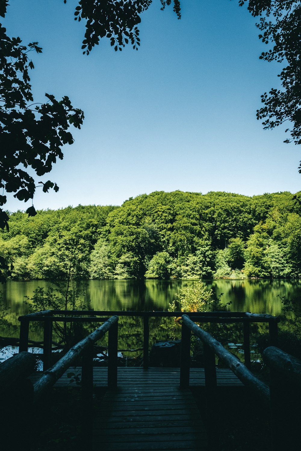 a wooden walkway leading to a lake surrounded by trees