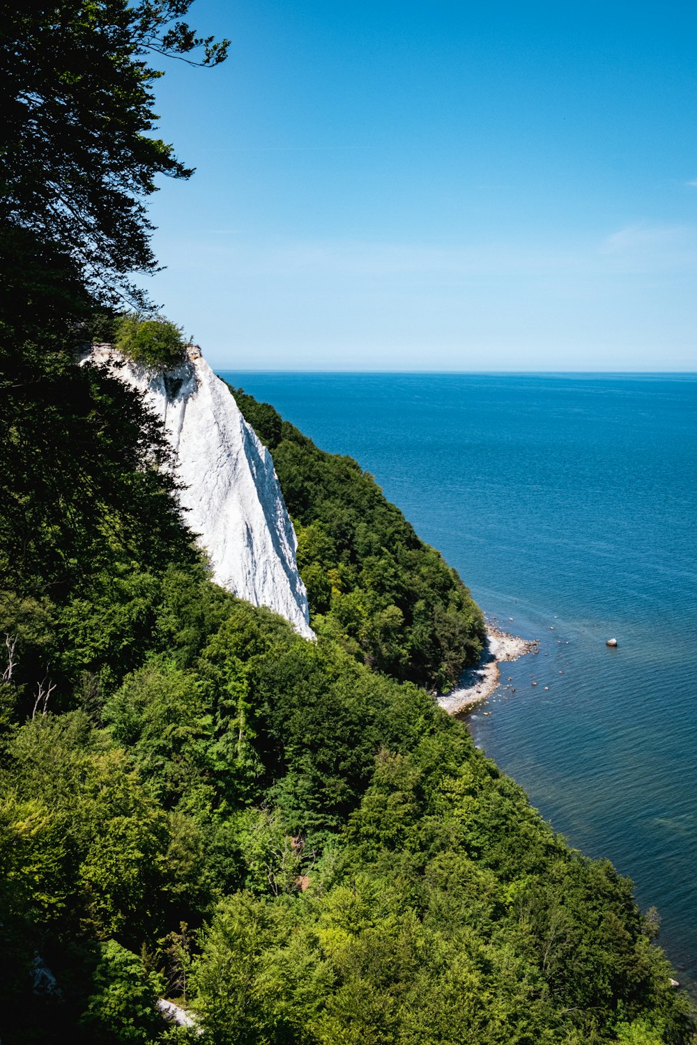 a view of a large body of water from a hill