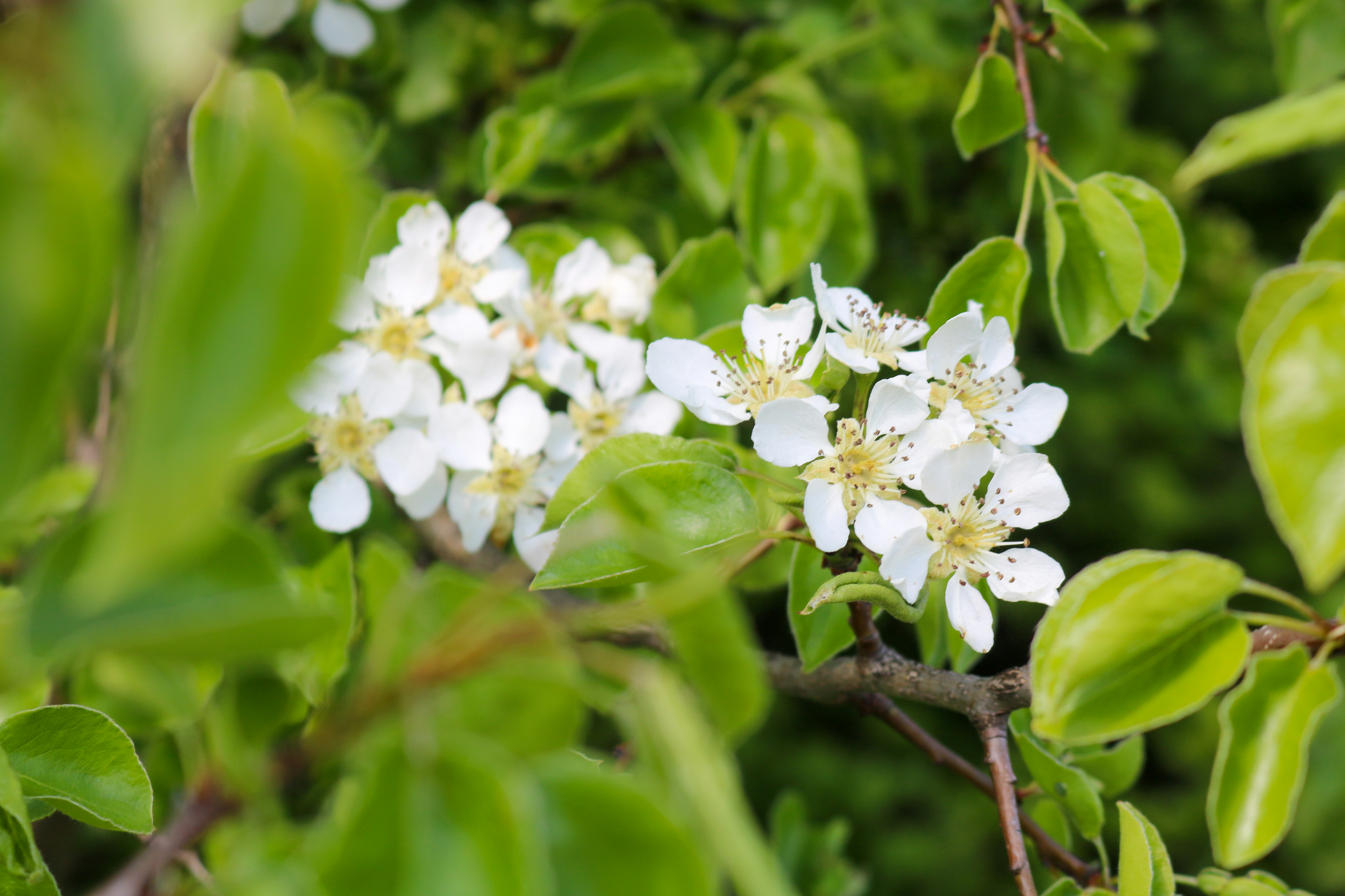 Photo by diegomattevi