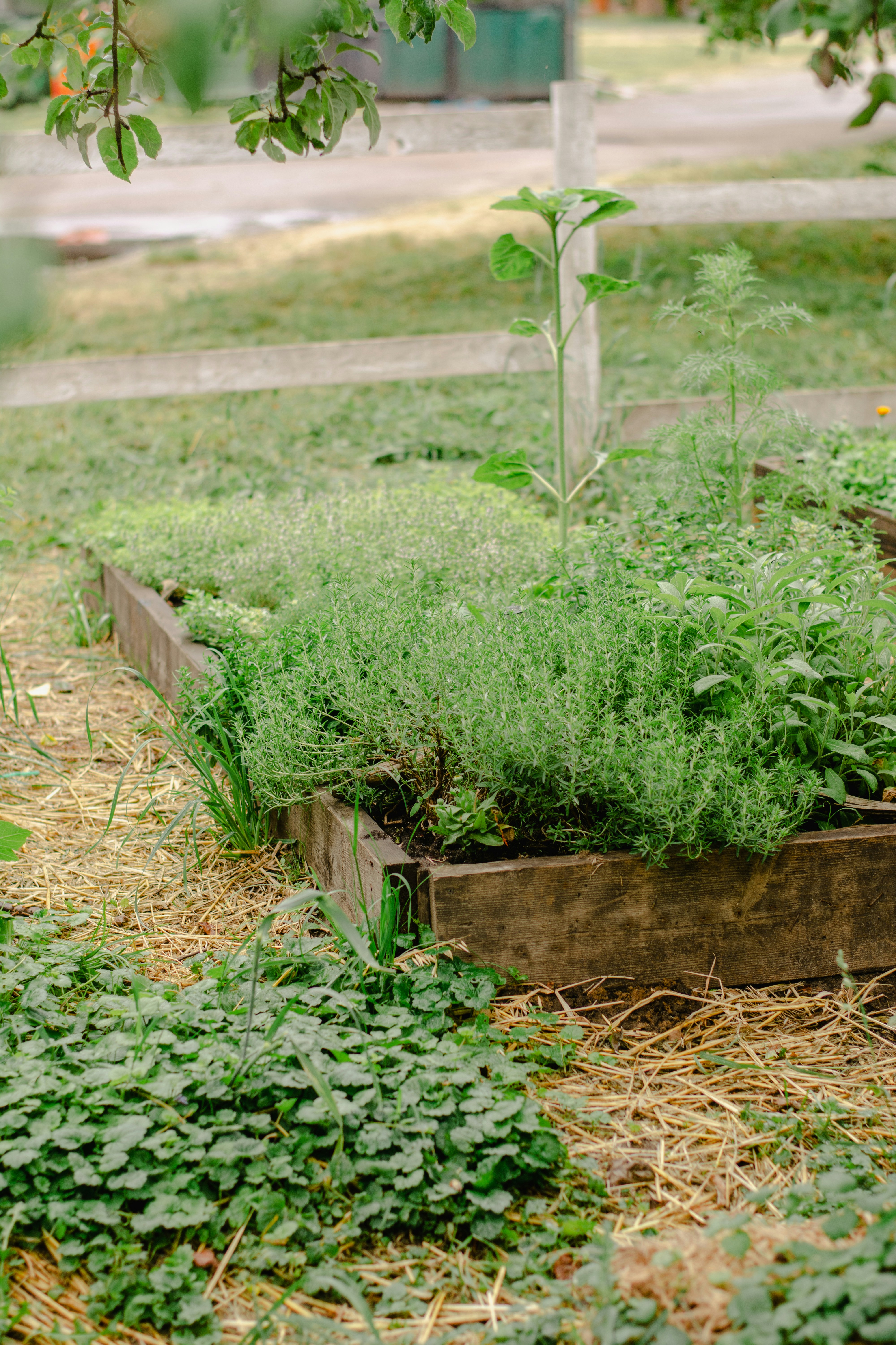 Photo by eugenivy_now