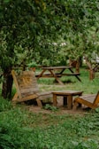 A serene outdoor setting for a creative learning session.