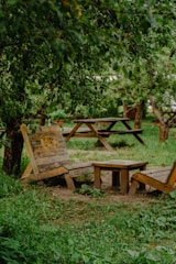 A serene outdoor setting for a workshop.