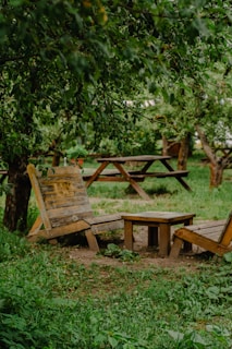A peaceful outdoor setting surrounded by lush greenery.