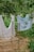 Two light-colored sheets are hanging on a clothesline in a lush, green garden. An old, rusty bed frame is positioned nearby, set among grass and straw-covered ground. Trees with dense foliage surround the area, creating a serene and rustic outdoor setting.