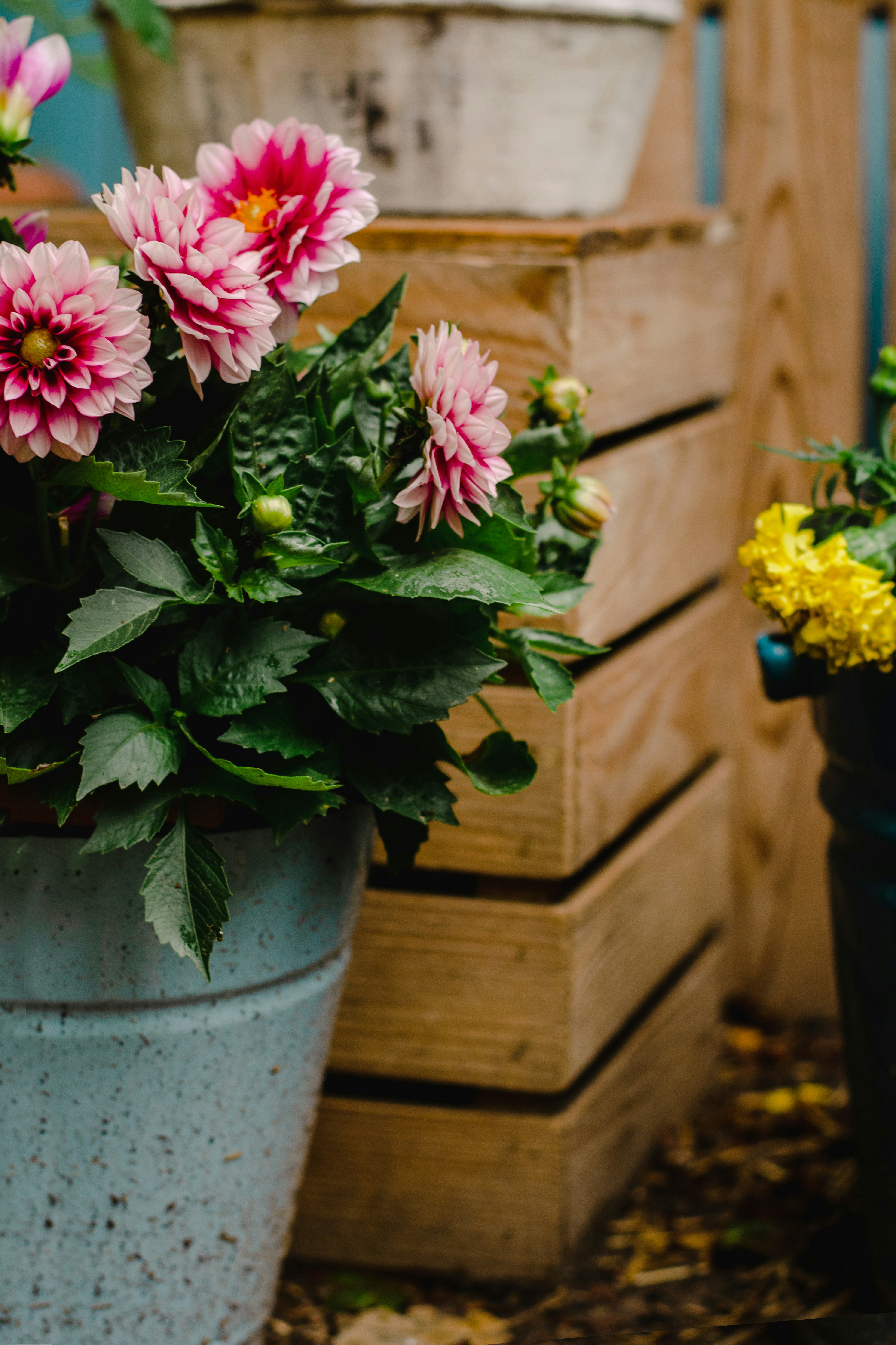 Photo by eugenivy_now