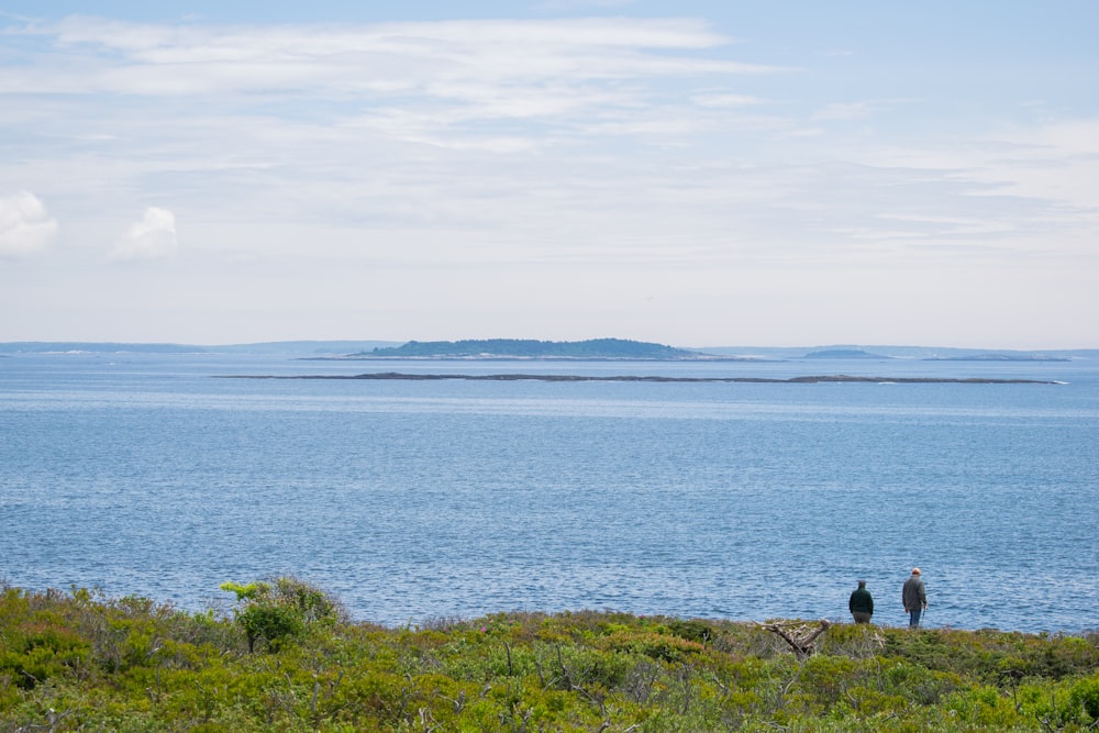 a couple of people standing on top of a lush green hillside